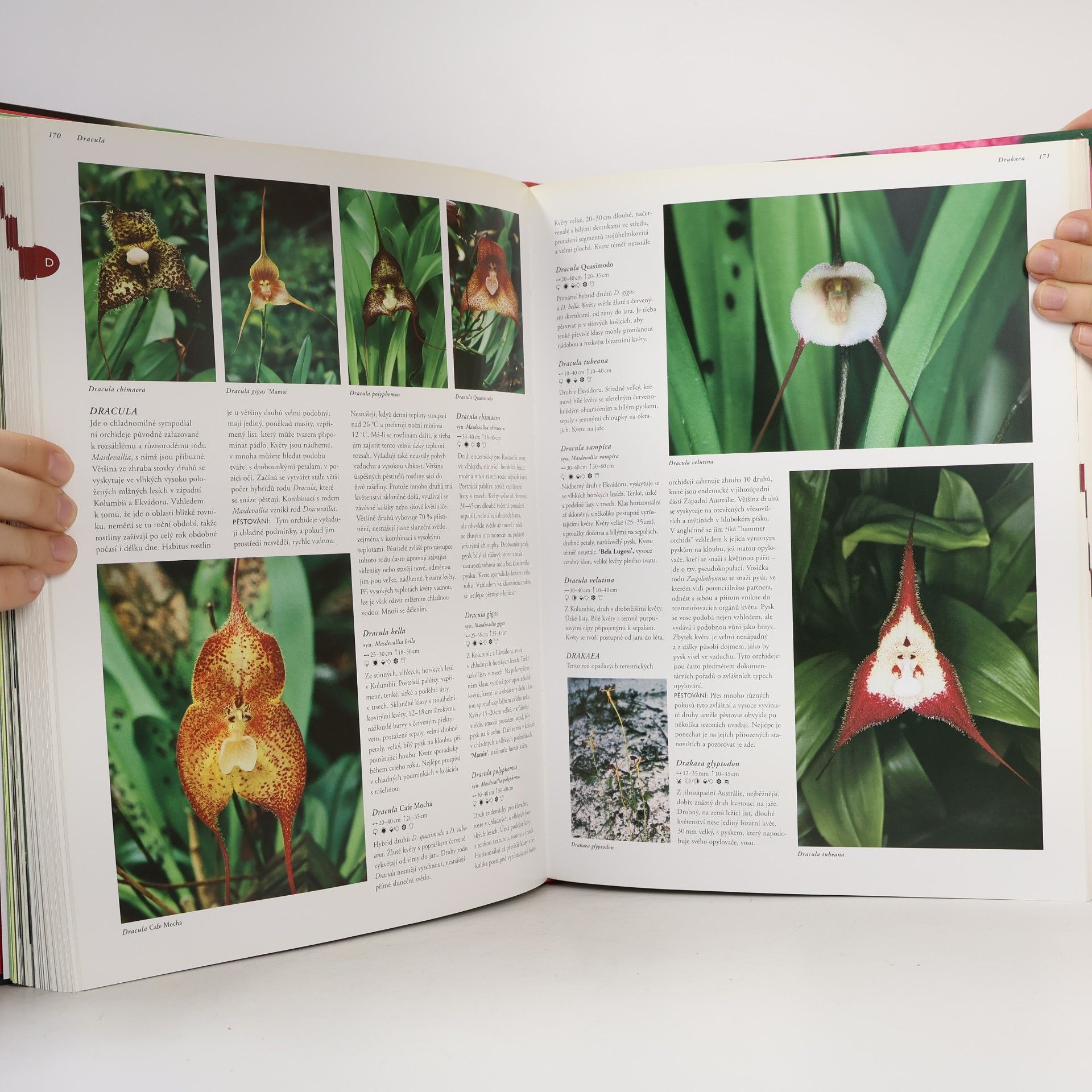 Ned Nash Orchideje: Více než 1500 druhů orchidejí