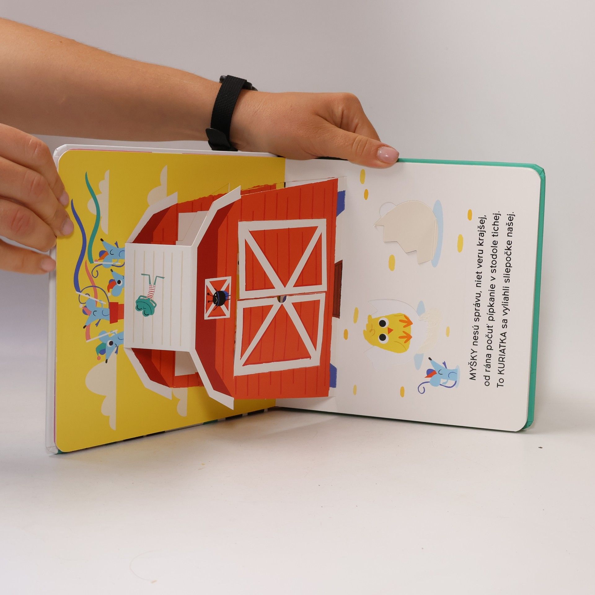 Auteurscollectief Moja najmilšia 3D kniha Kamaráti z farmy