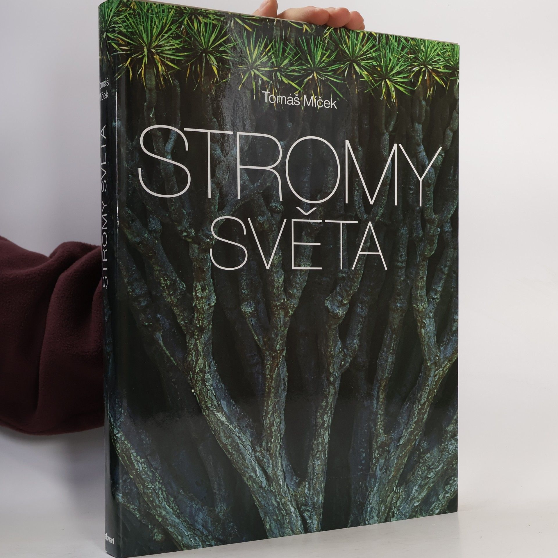 Stromy světa
