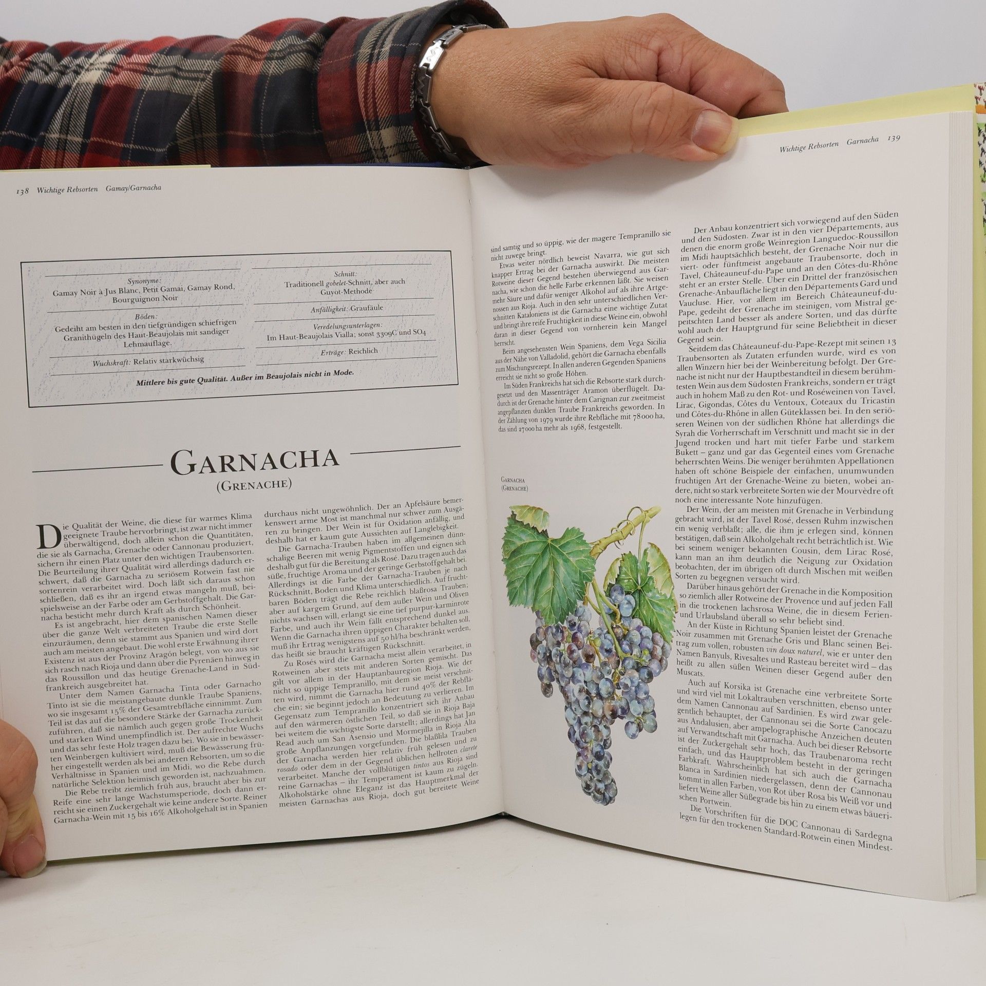 Jancis Robinson Reben, Trauben, Weine