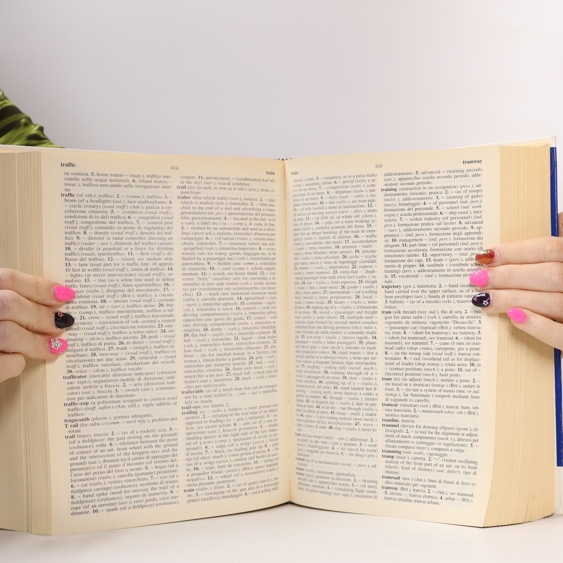 Giorgio Marolli Dizionario tecnico / Technical Dictionary