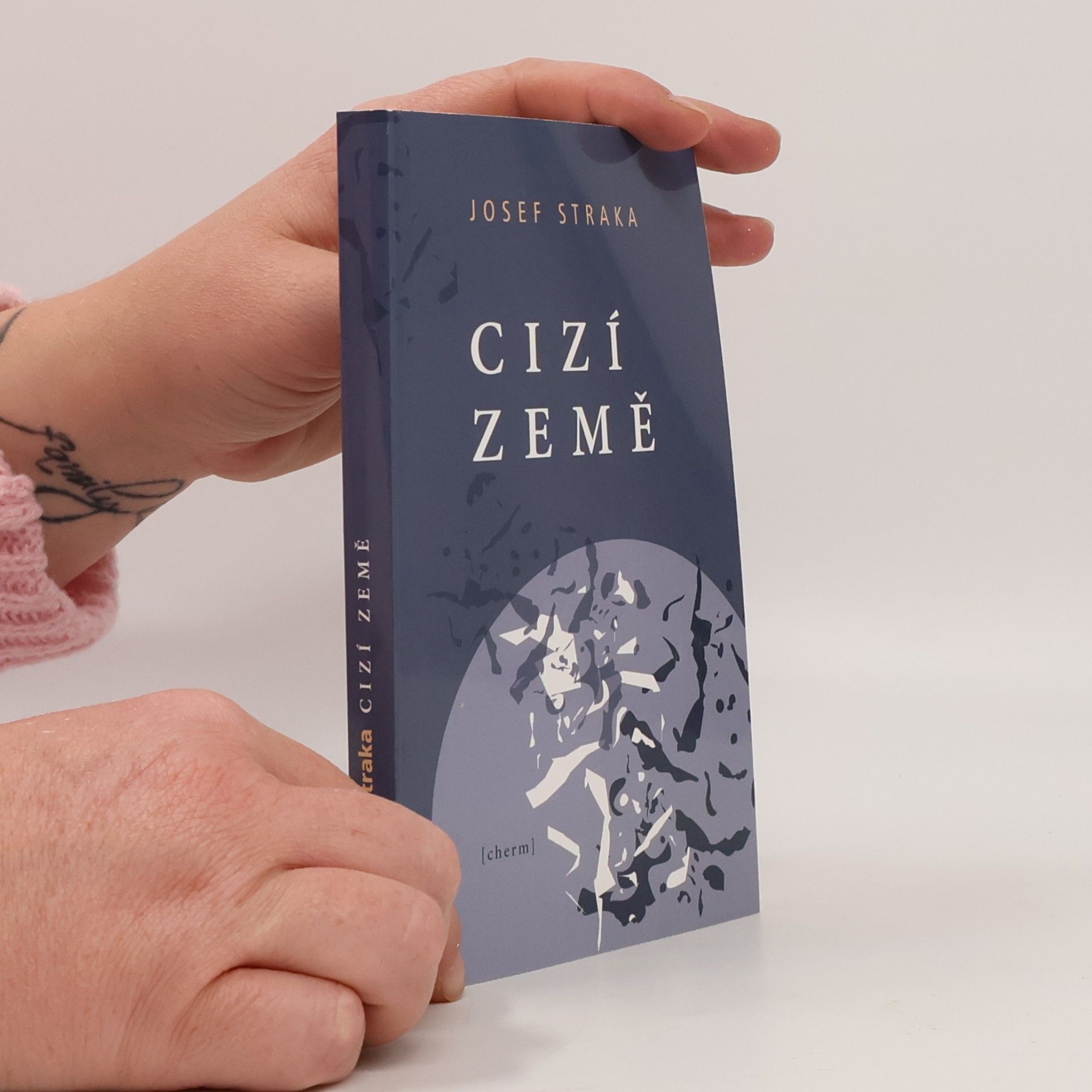 Cizí země