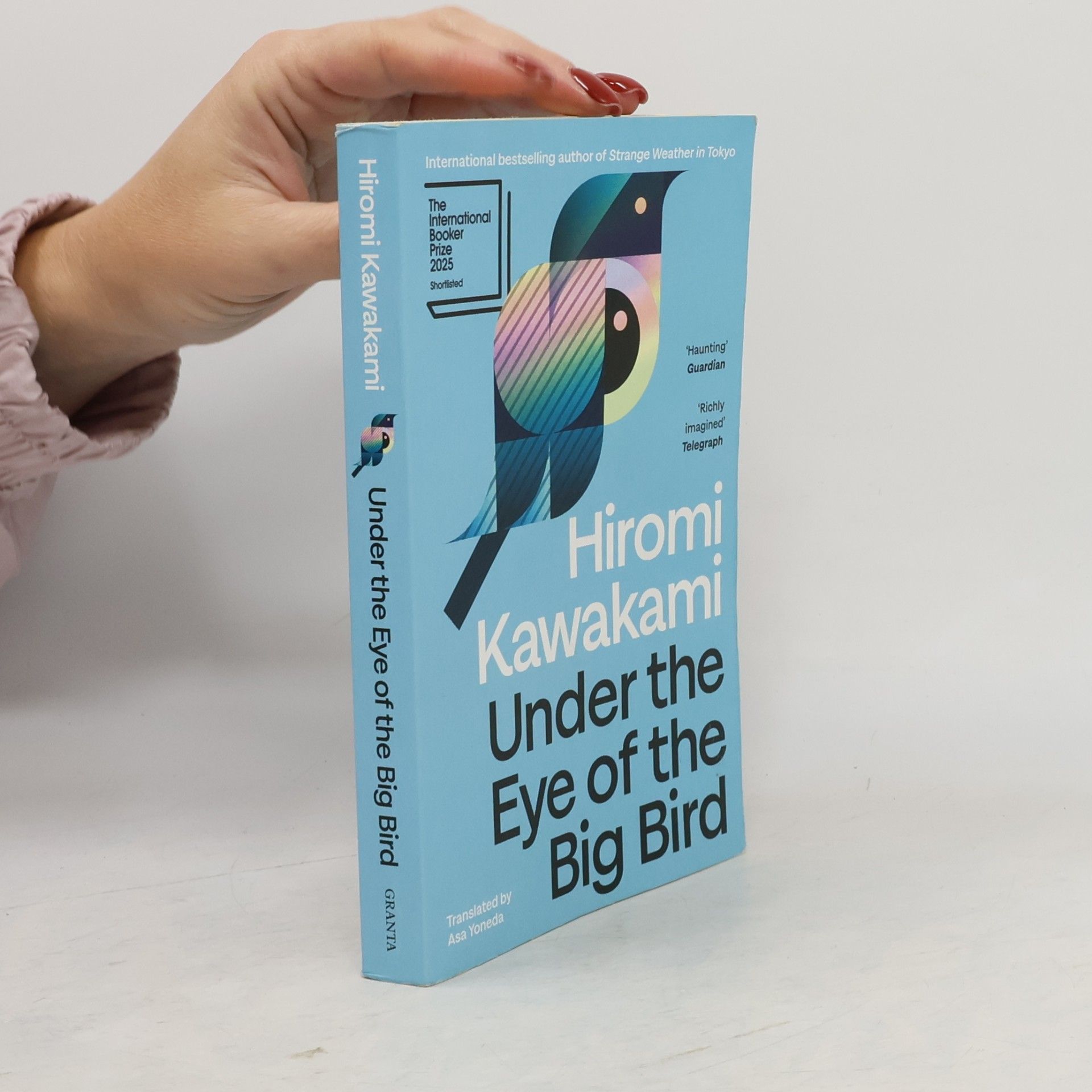 Hiromi Kawakami Under the Eye of the Big Bird