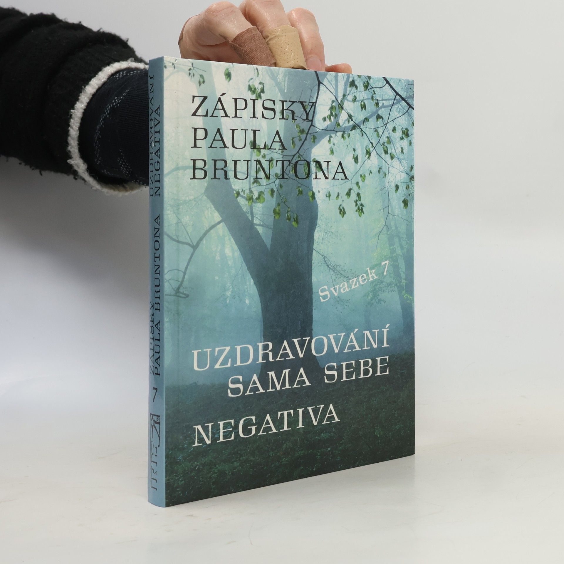 Zápisky Paula Bruntona : do hloubky rozpracovaná desátá a jedenáctá kategorie ze Zápisků. Svazek 7