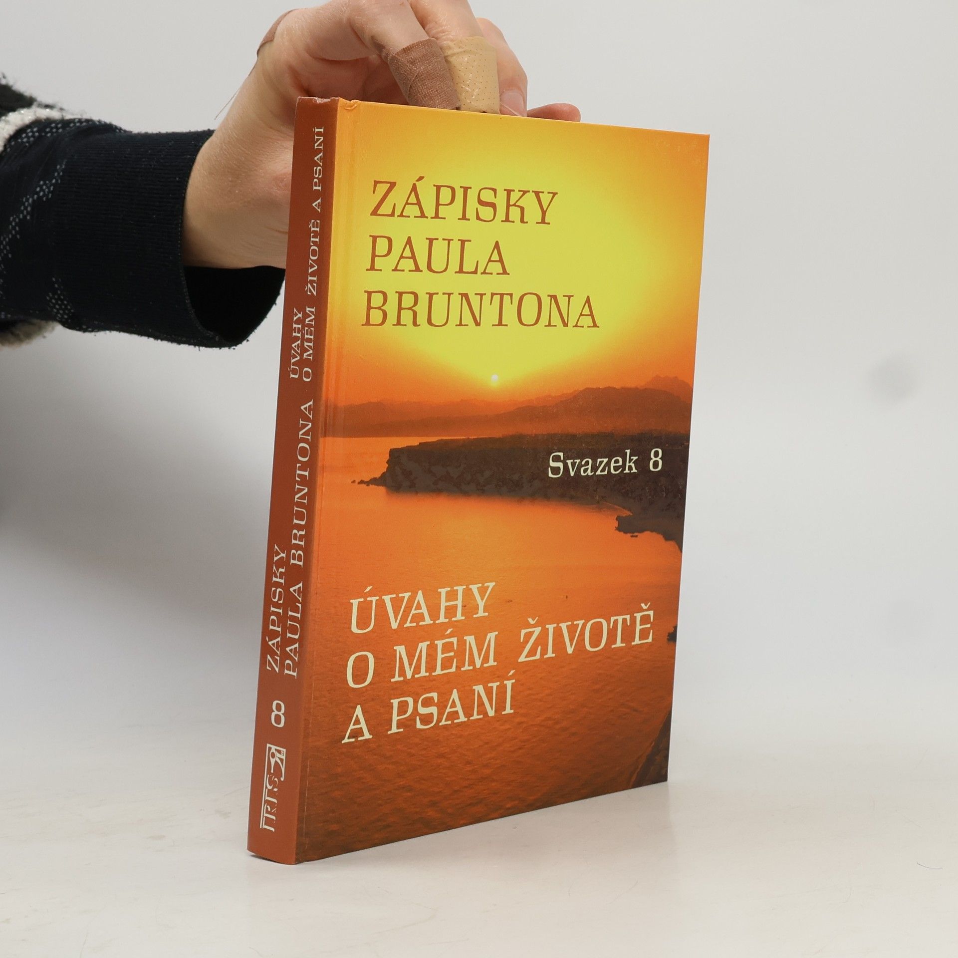 Zápisky Paula Bruntona 8: Úvahy o mém životě a psaní