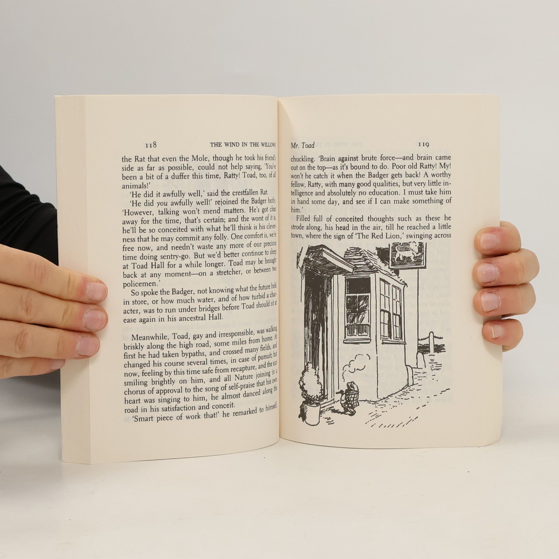 Kenneth Grahame The Wind in the Willows