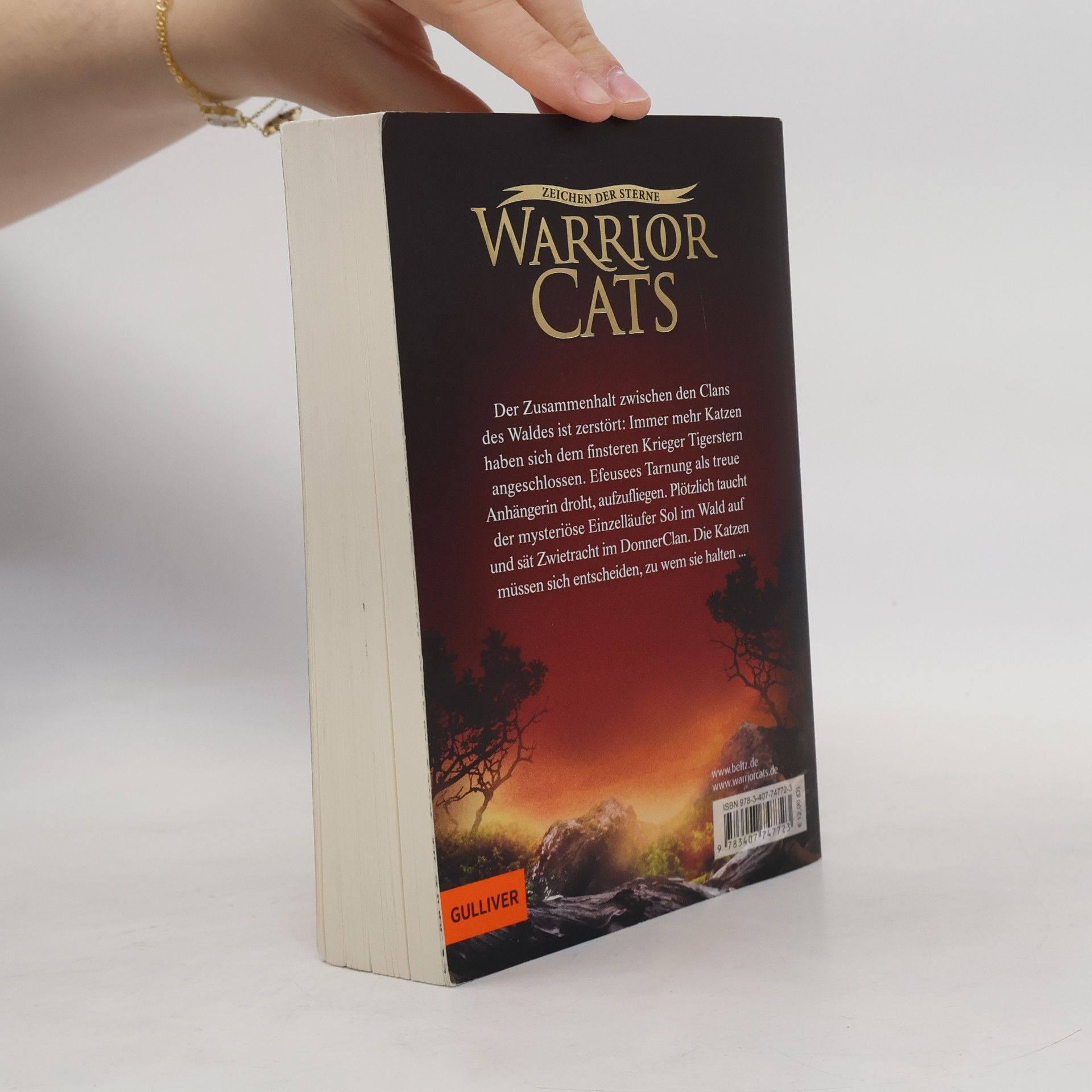 Erin Hunter Der verschollene Krieger