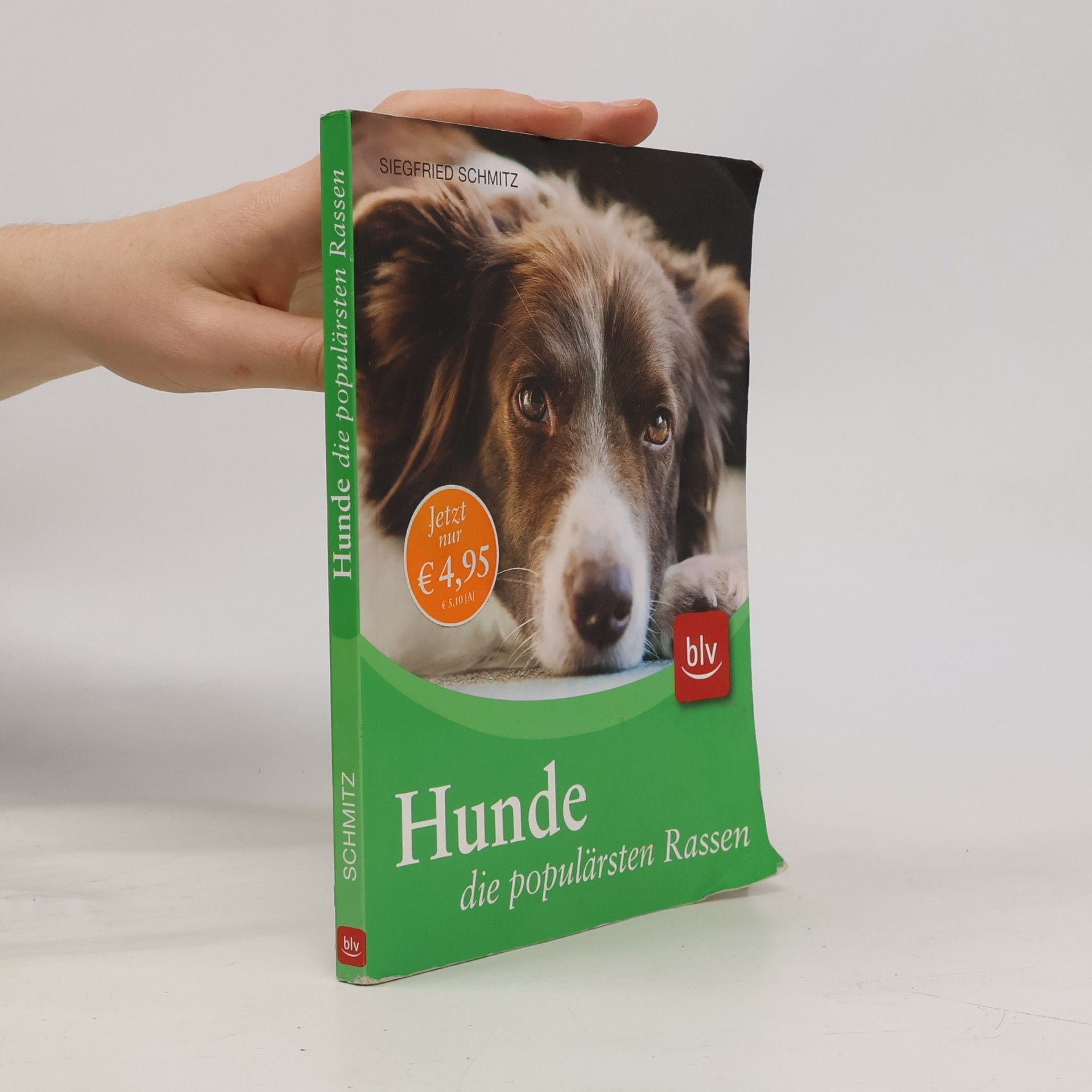 Hunde - die populärsten Rassen