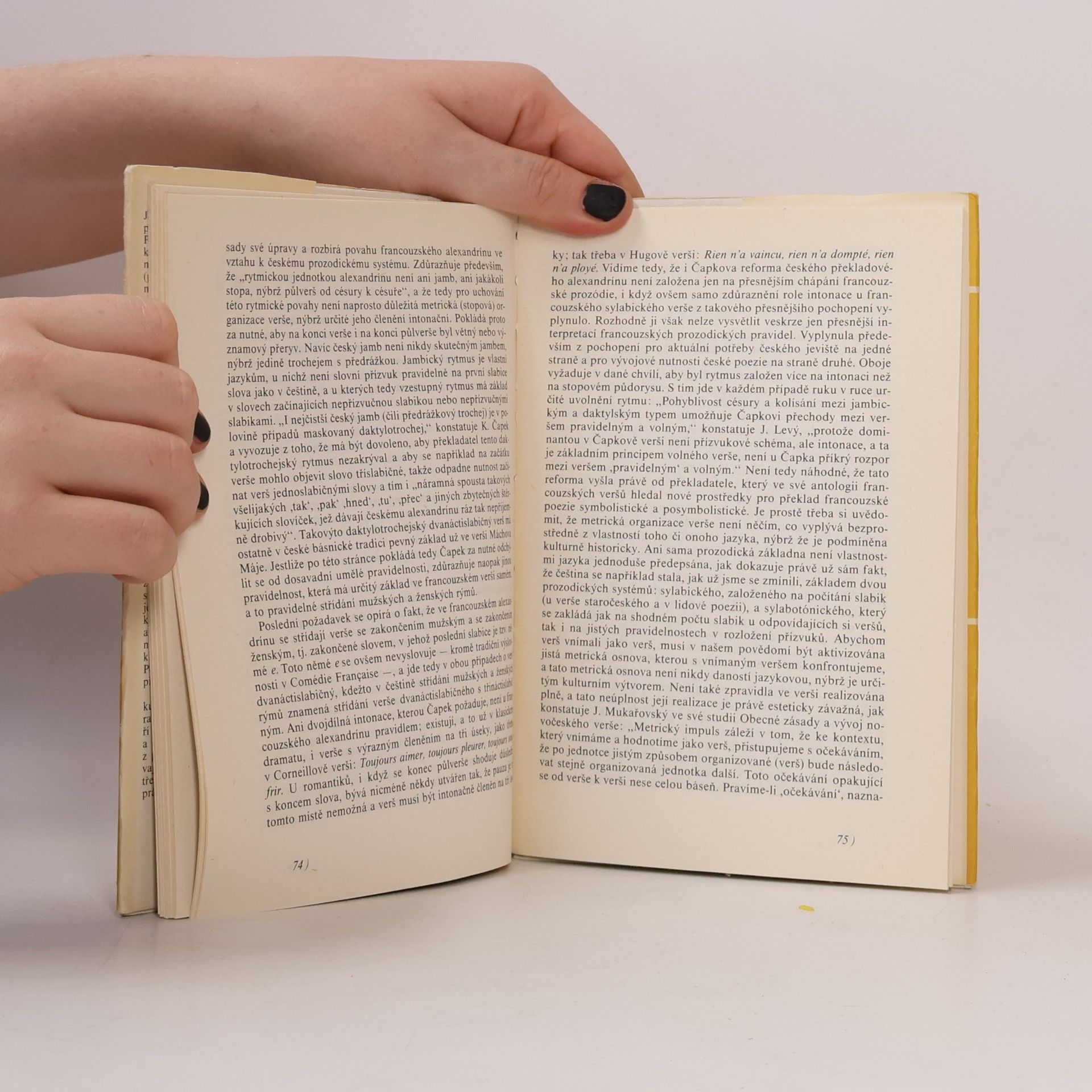 Jiří Pechar Otázky literárního překladu