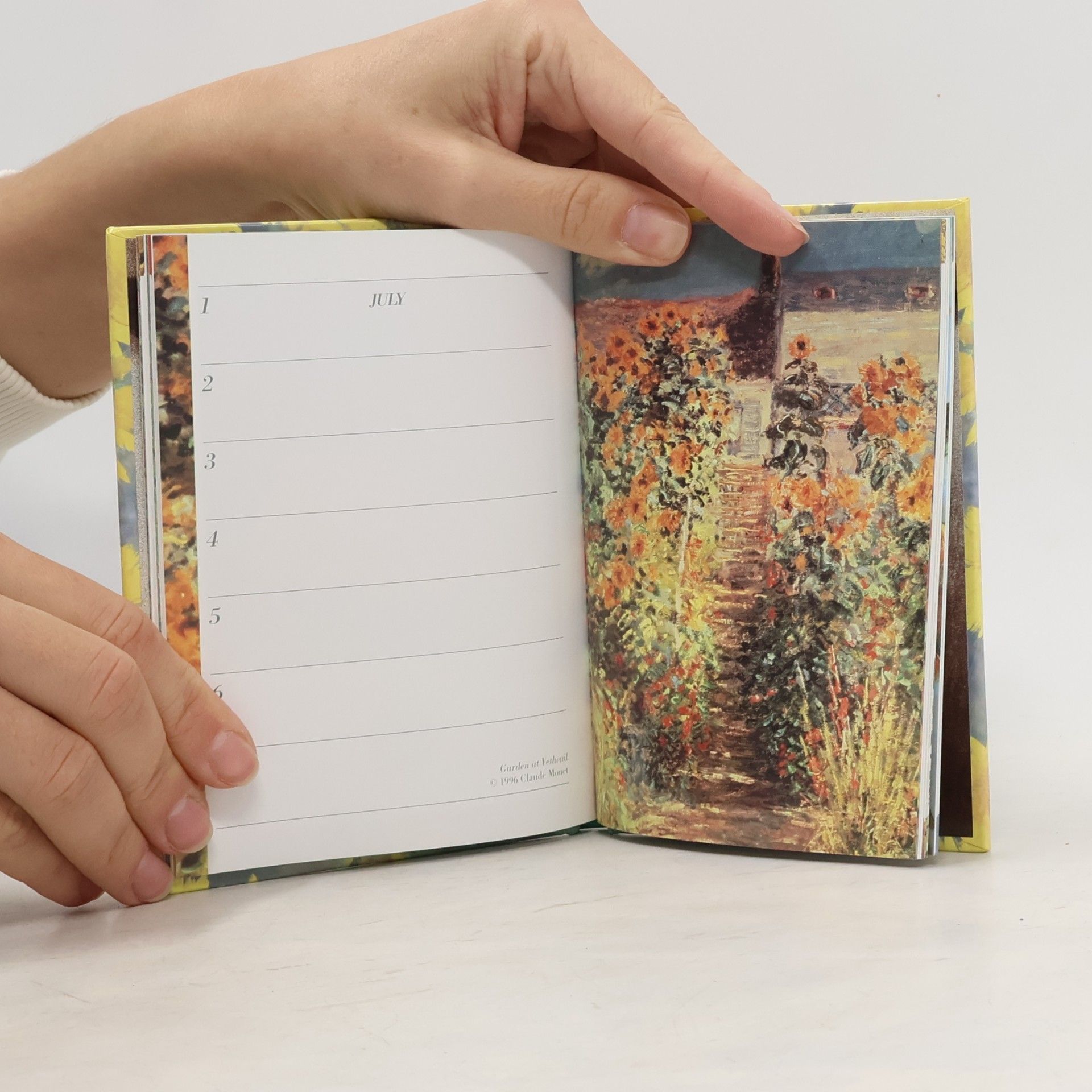Helen Exley Sunflowers
