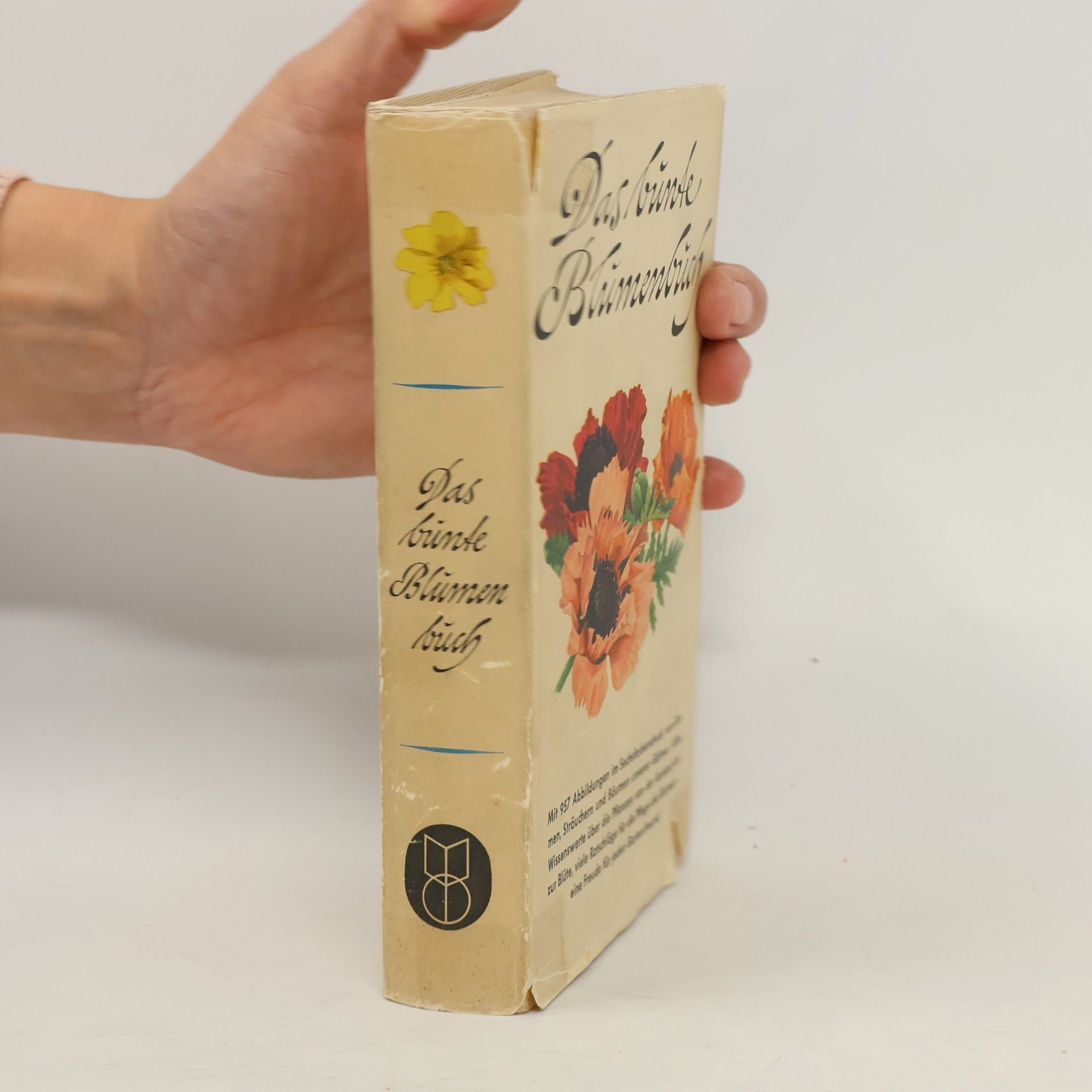 Verner Hancke Das bunte Blumenbuch