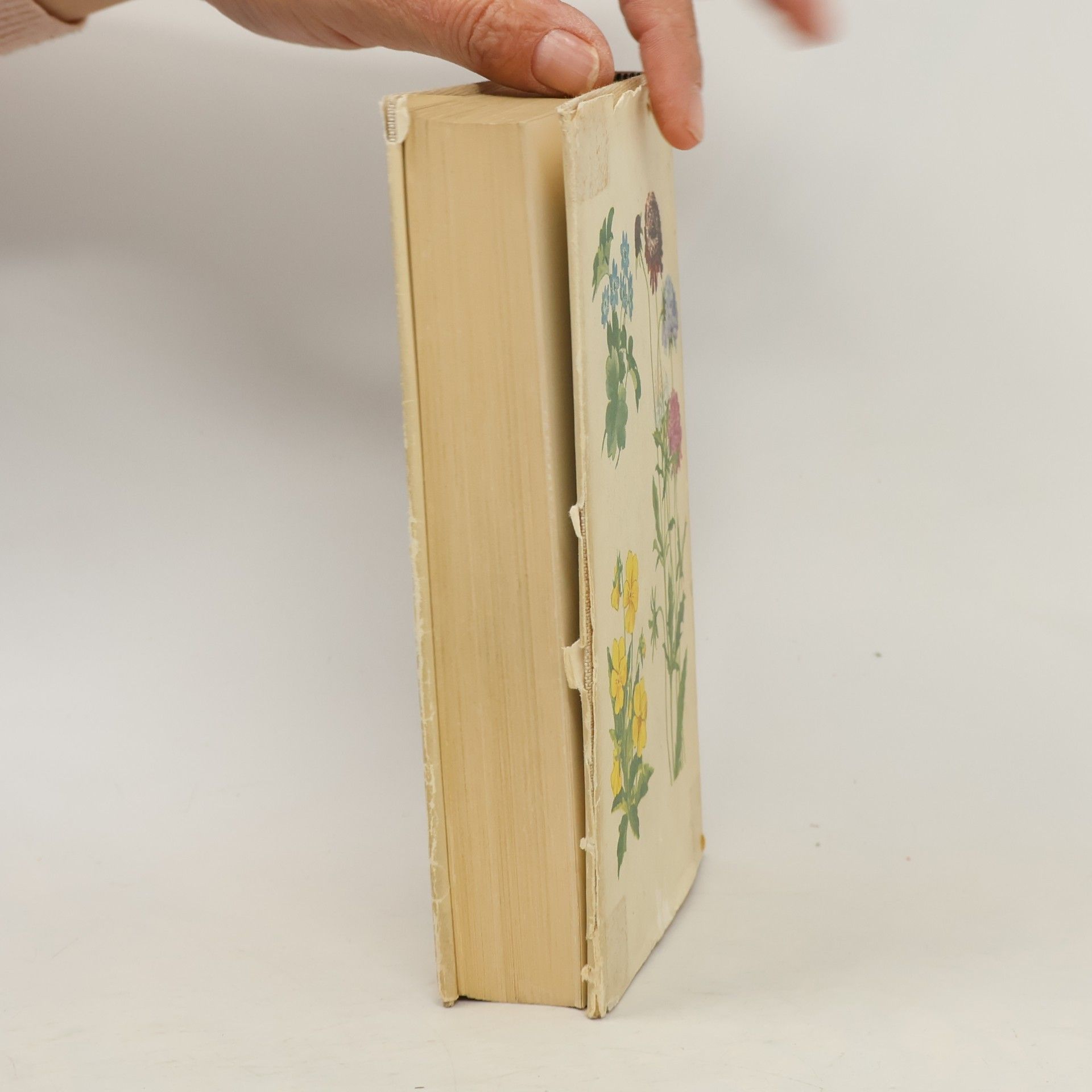 Verner Hancke Das bunte Blumenbuch
