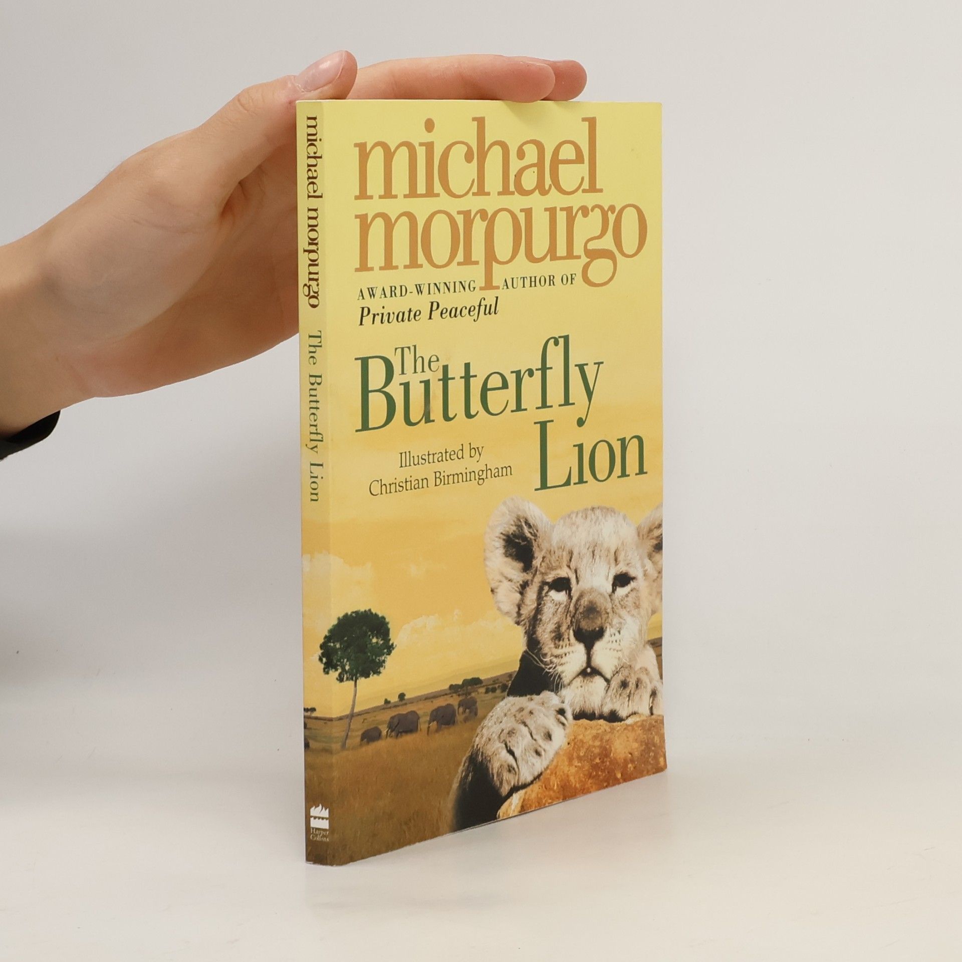 The Butterfly Lion