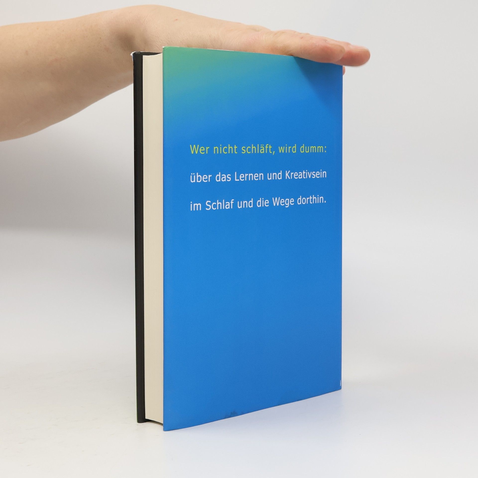 Peter Spork Das Schlafbuch