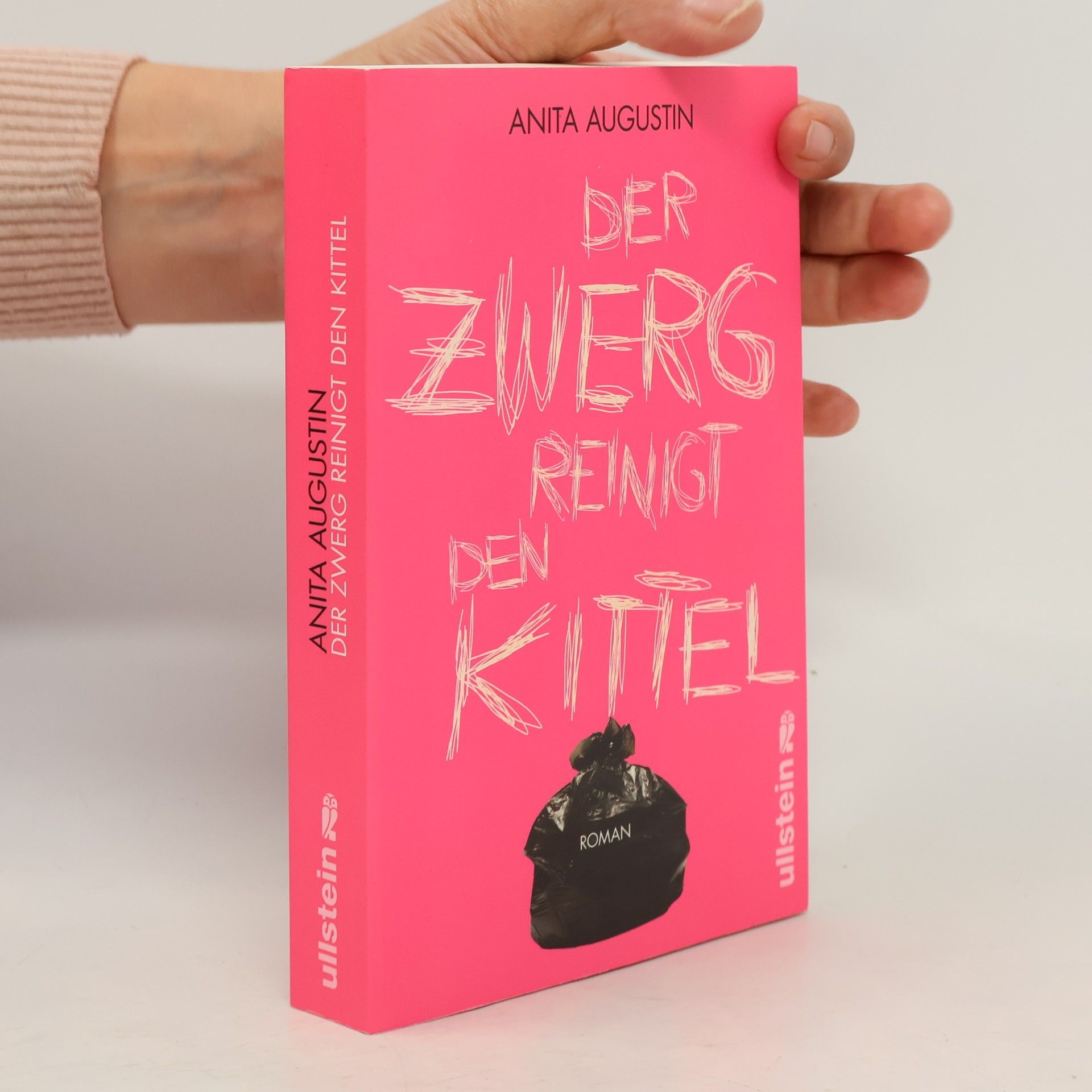 Anita Augustin Der Zwerg reinigt den Kittel