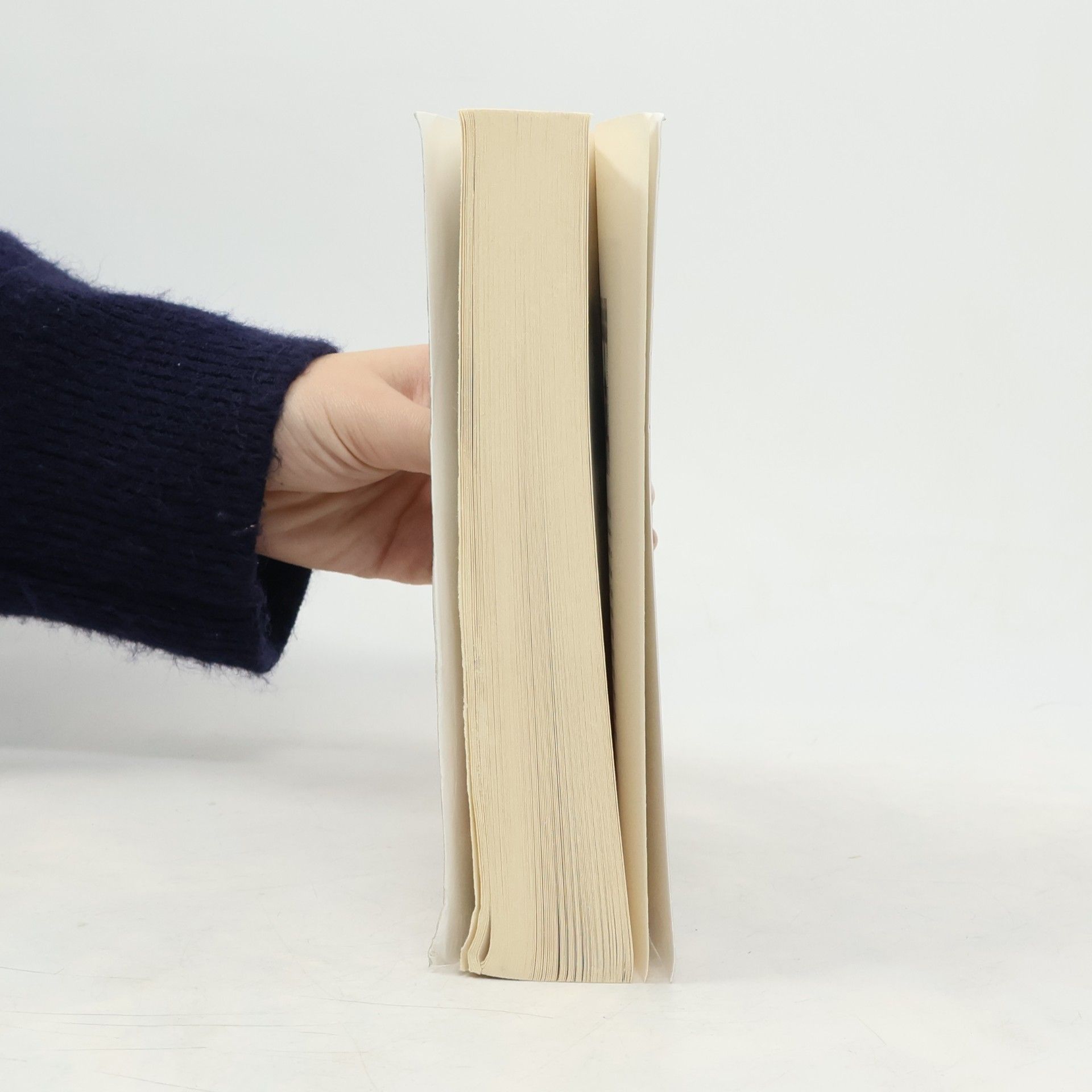 Alexander Gorkow Hotel Laguna