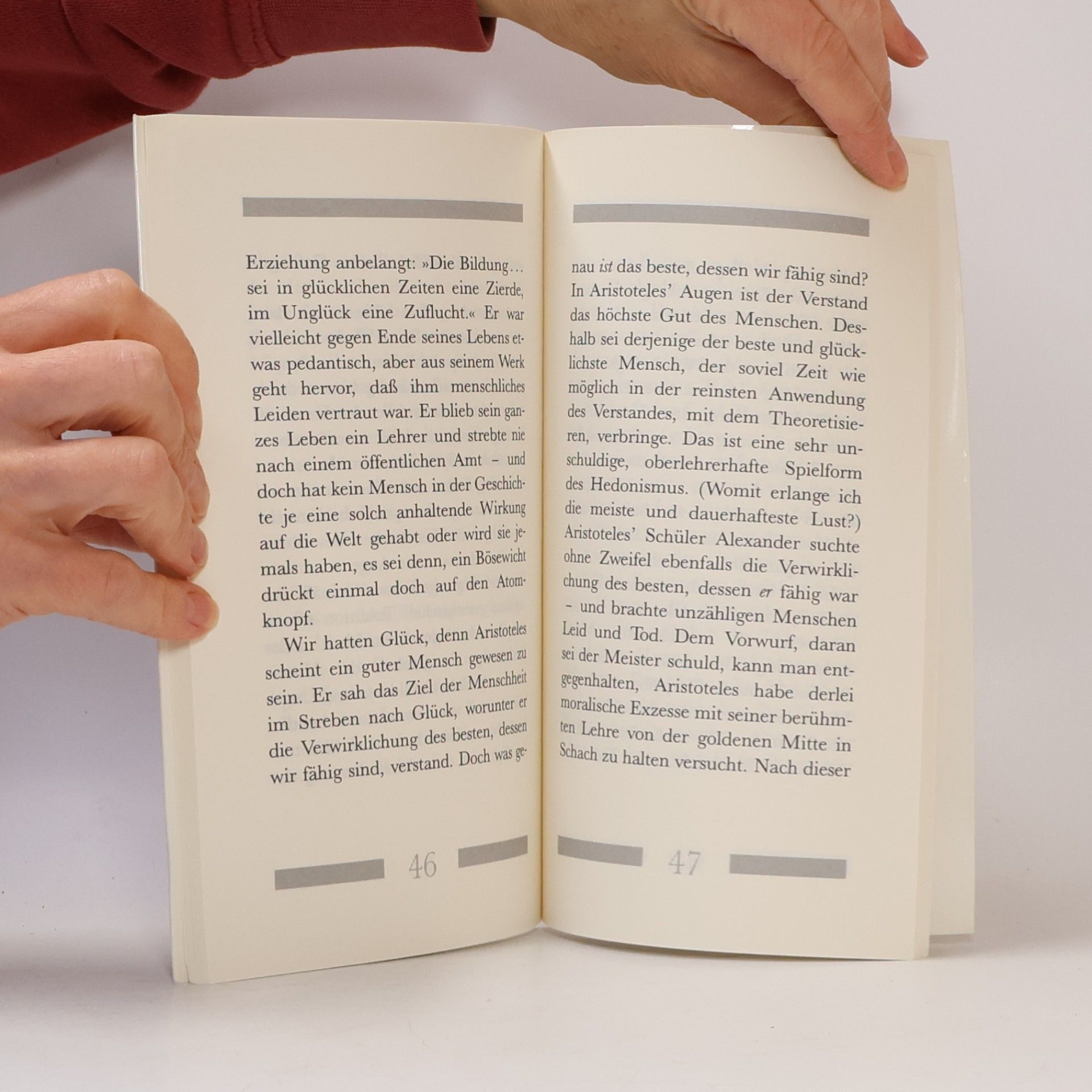 Paul Strathern Aristoteles in 90 Minuten