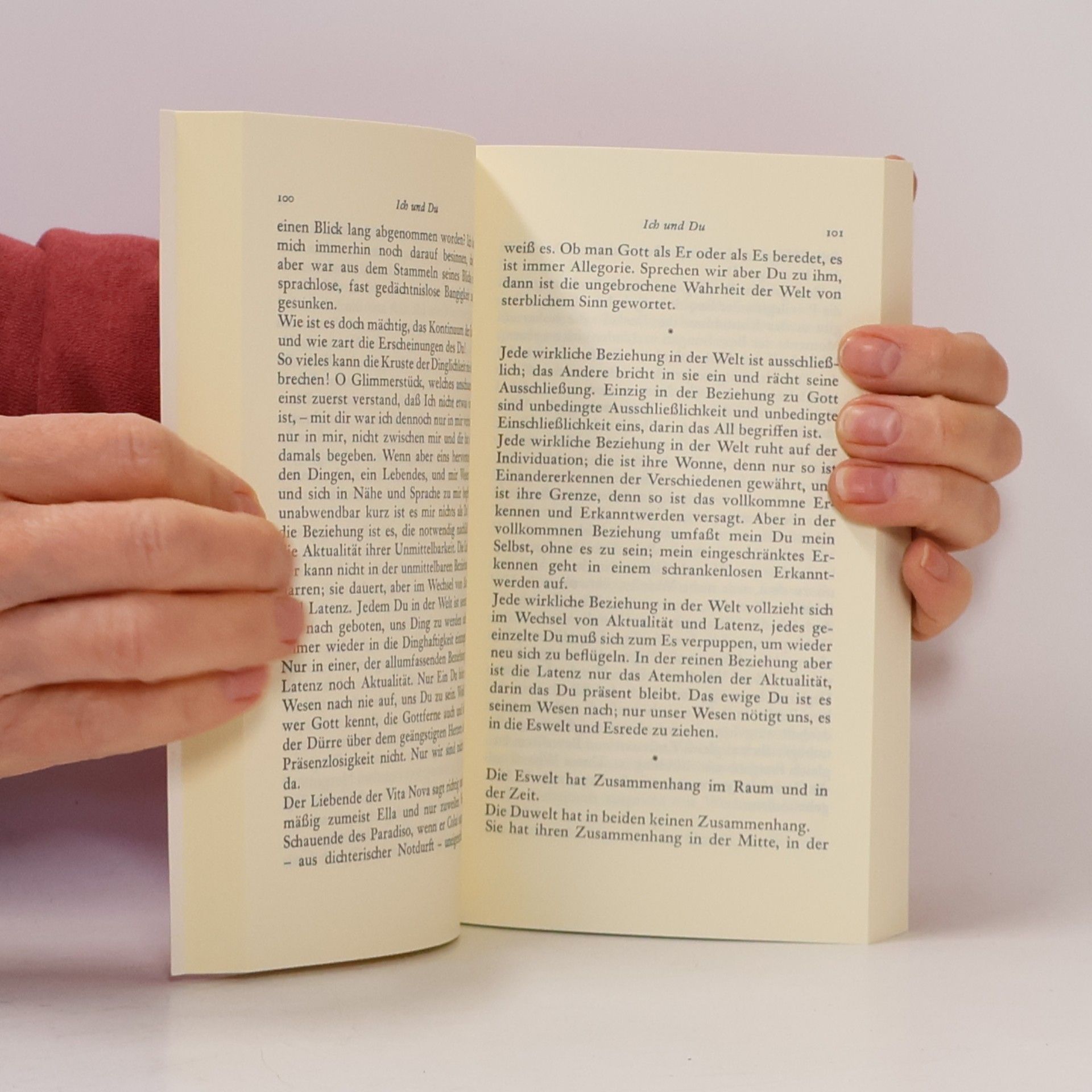 Martin Buber Das dialogische Prinzip