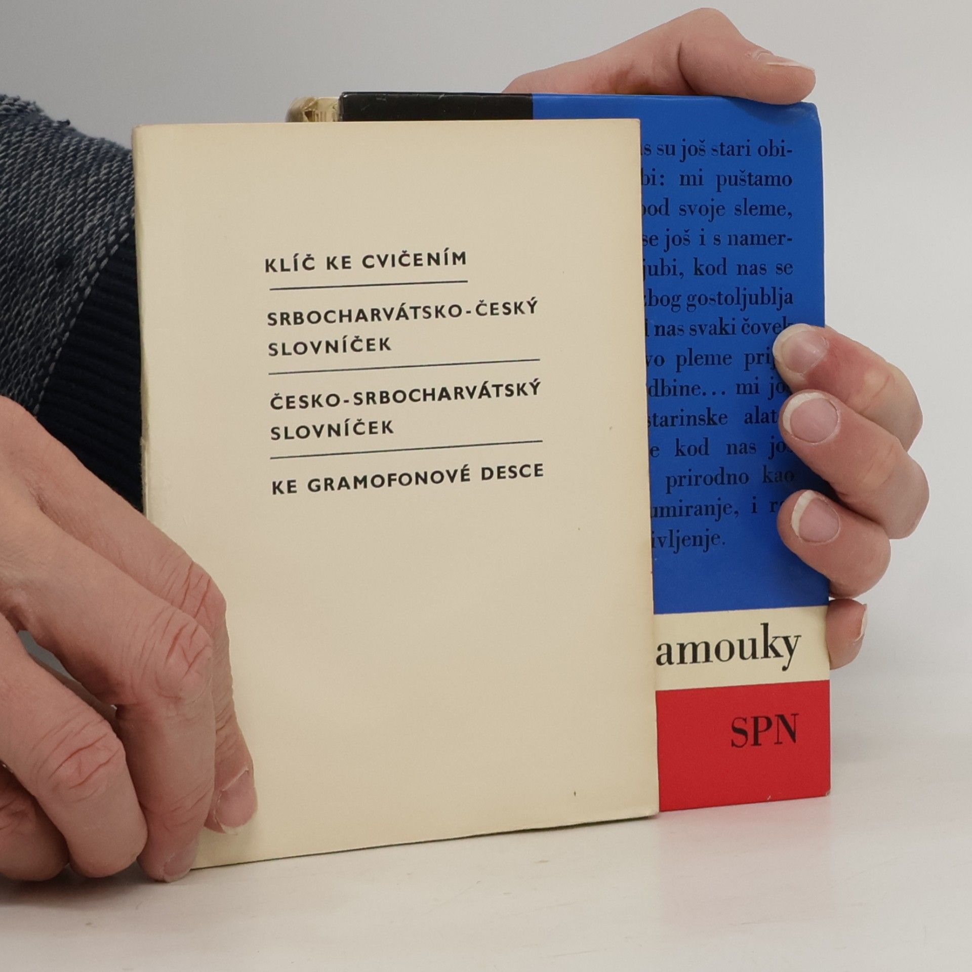 Autorenkollektiv Srbocharvátština pro samouky