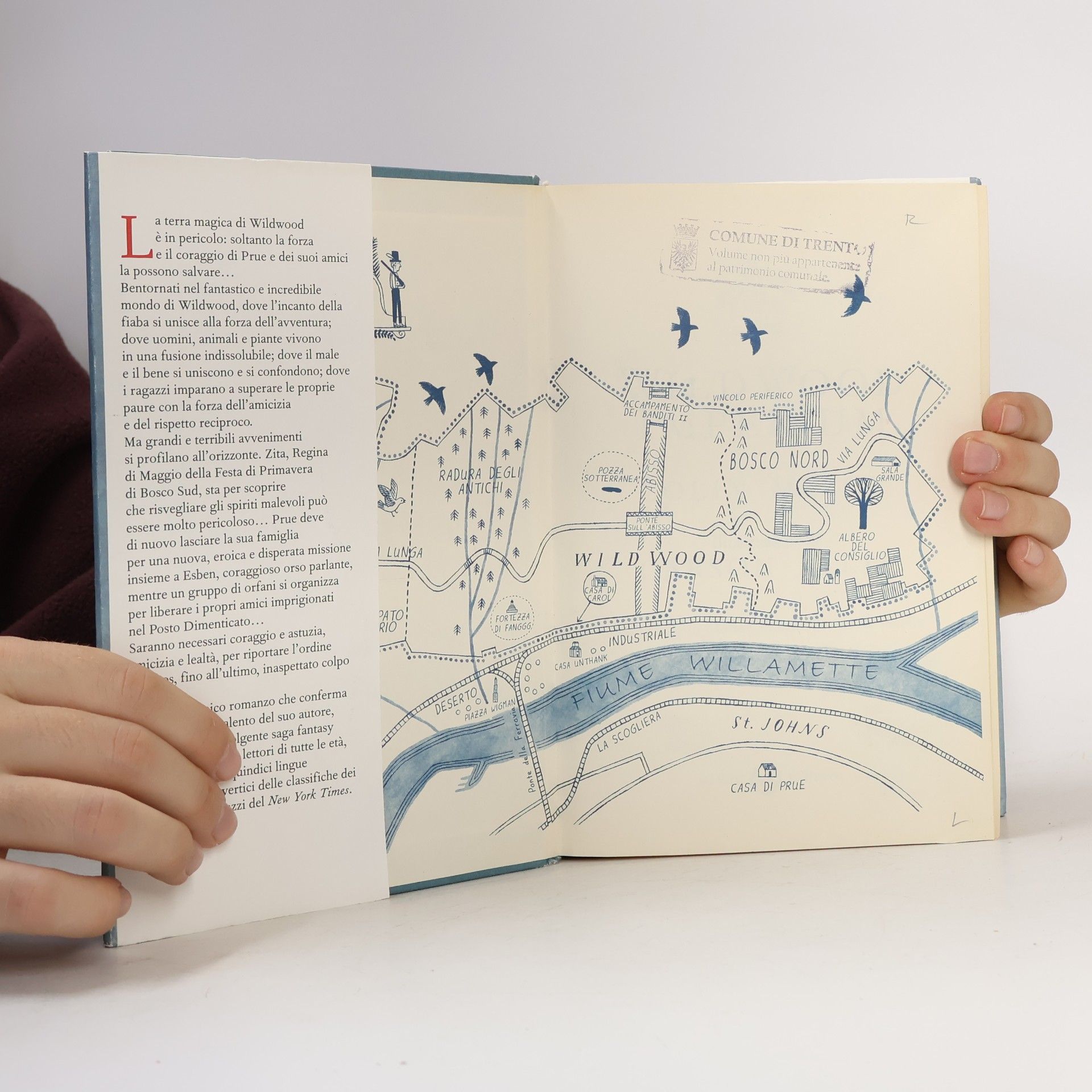 Colin Meloy Wildwood. Imperium