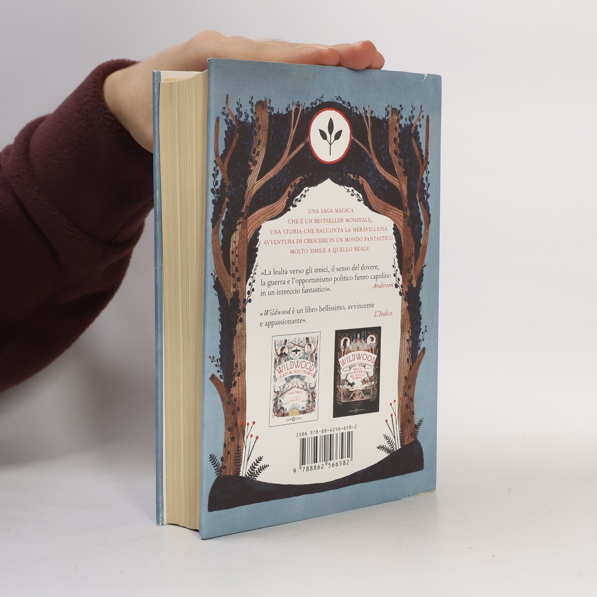Colin Meloy Wildwood. Imperium
