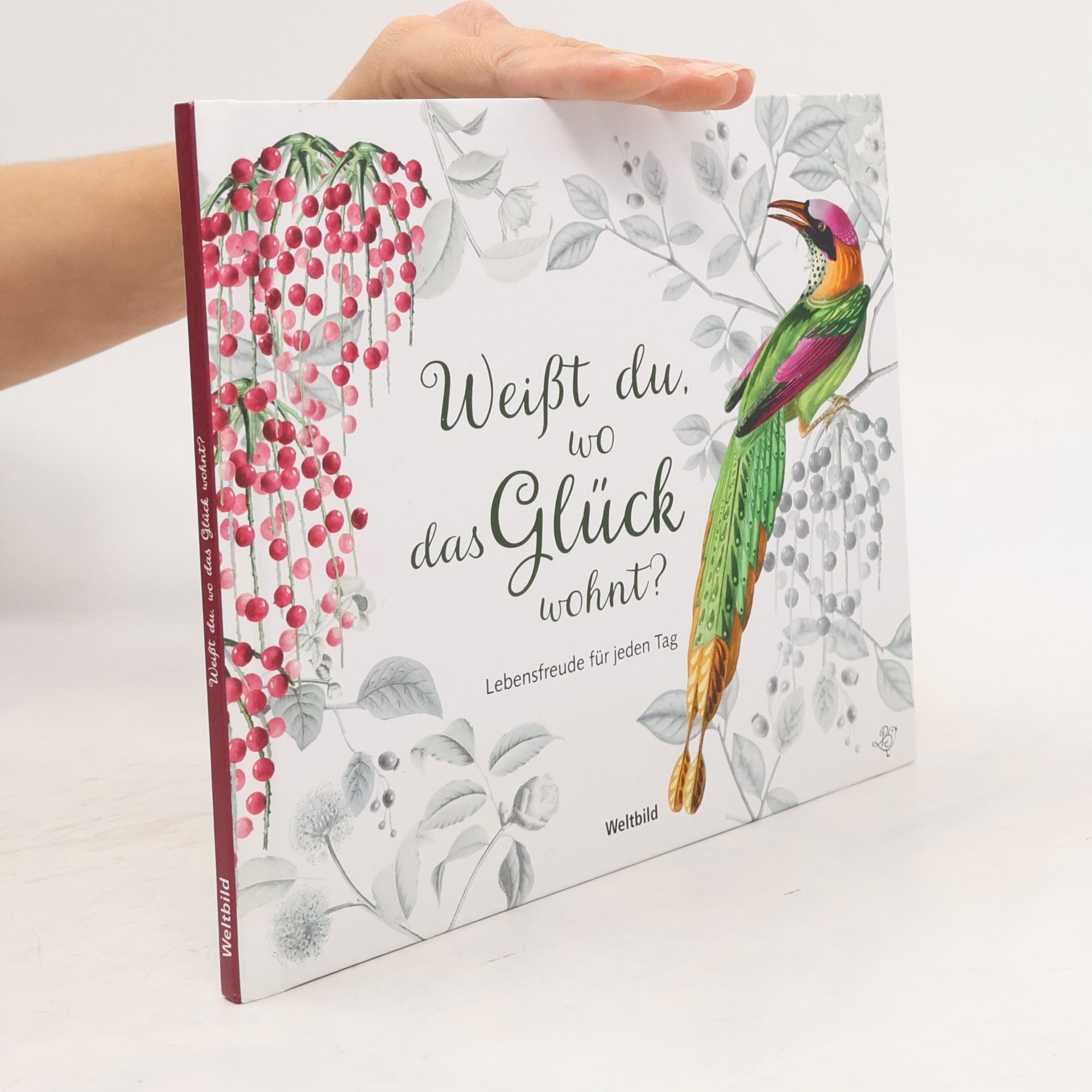 Kolektiv autorů Weißt du, wo das Glück wohnt?