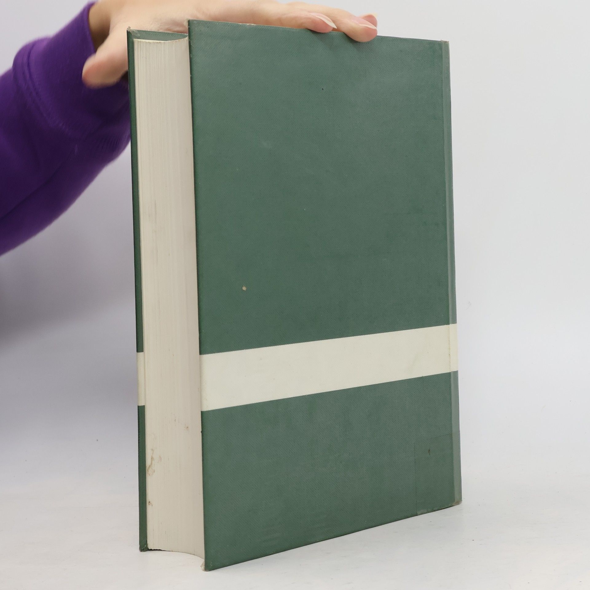 Helmar Fichtelmann Steuer-Formular-Handbuch