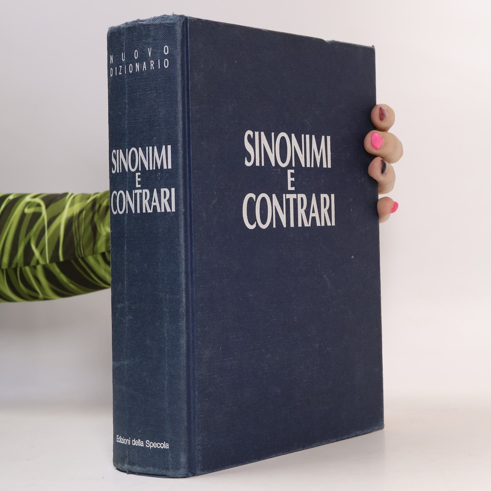 Sinonimi e contrari