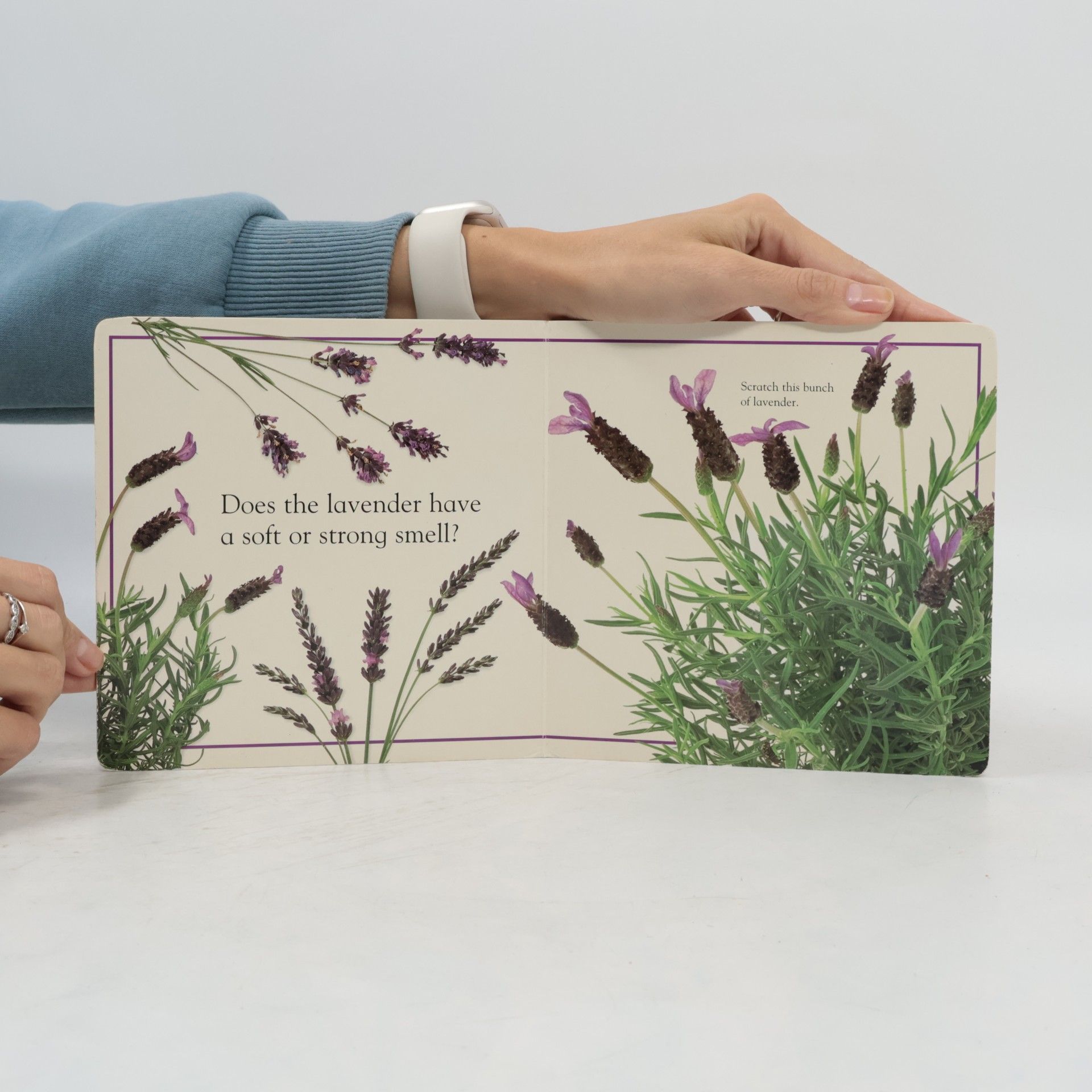 Scratch & Sniff Books: Garden