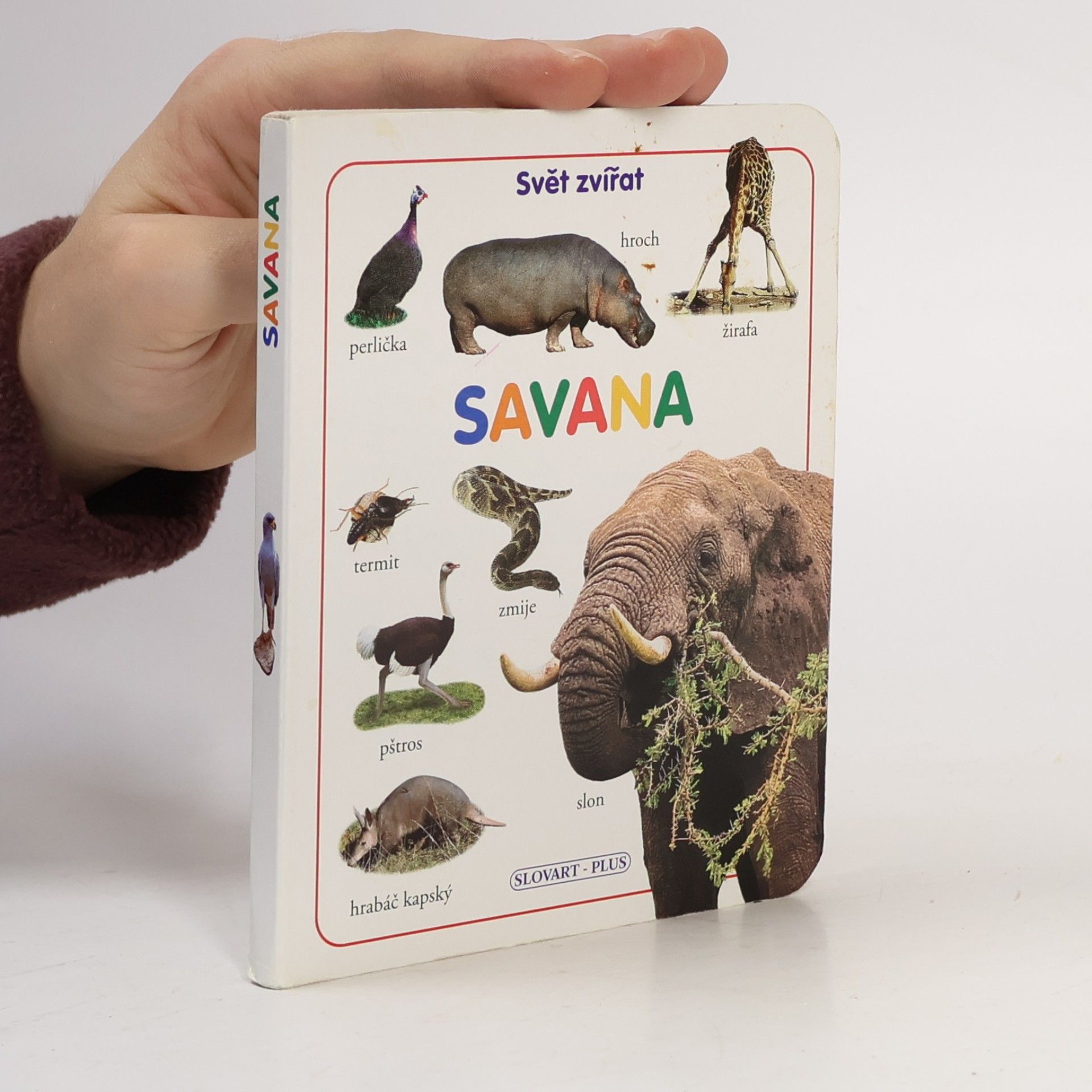 Kolektiv autorů Savana