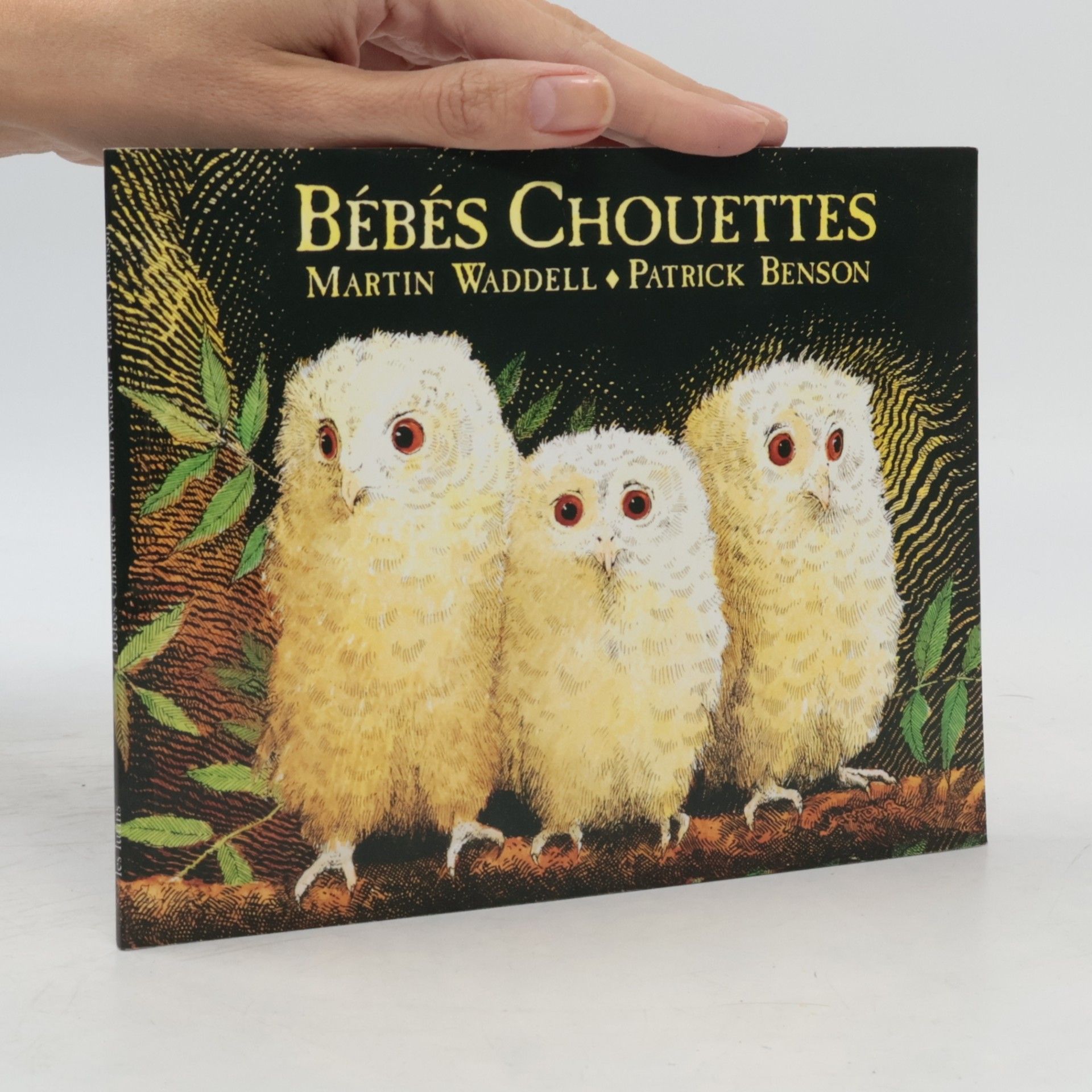 Martin Waddell Bébés chouettes