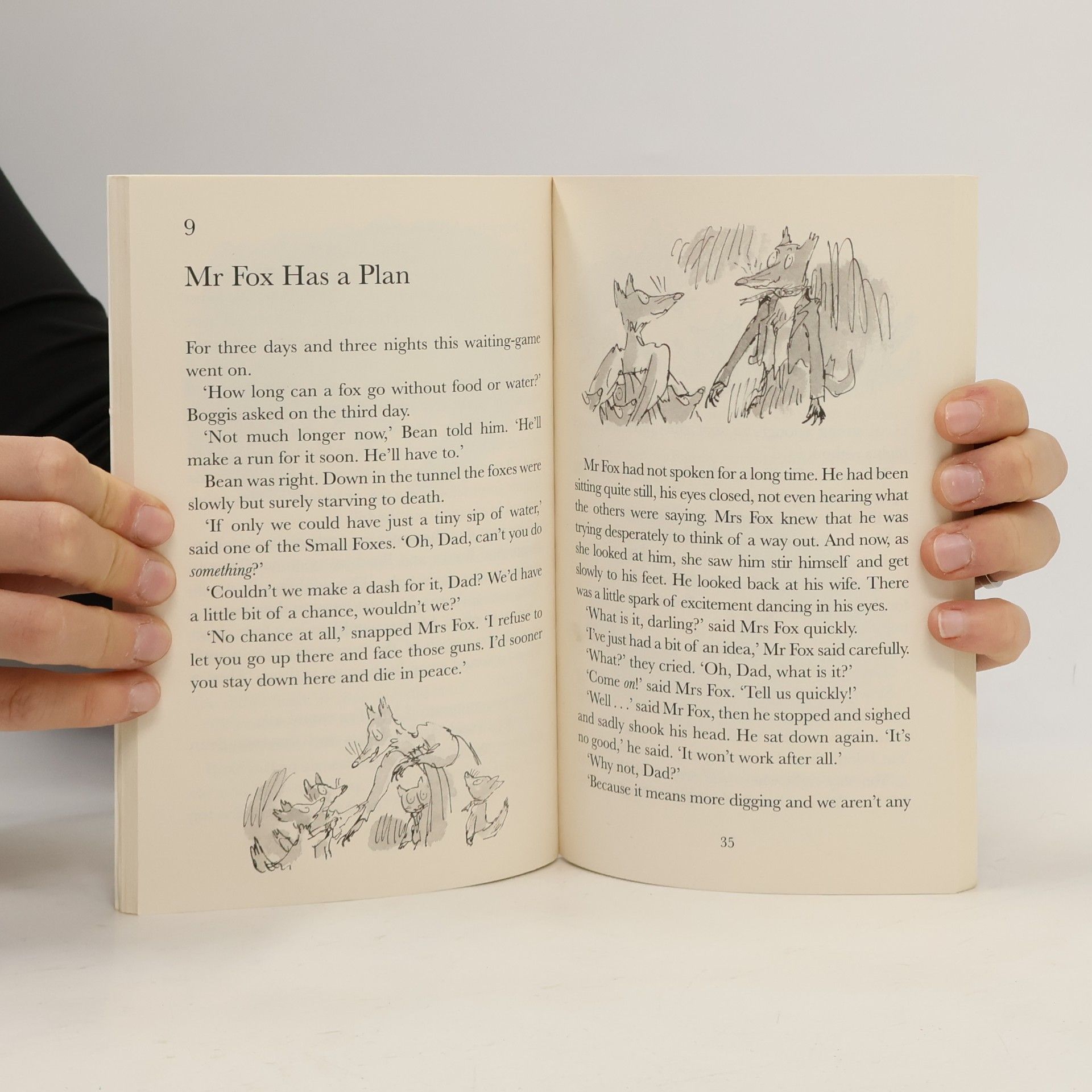 Roald Dahl Fantastic mr Fox