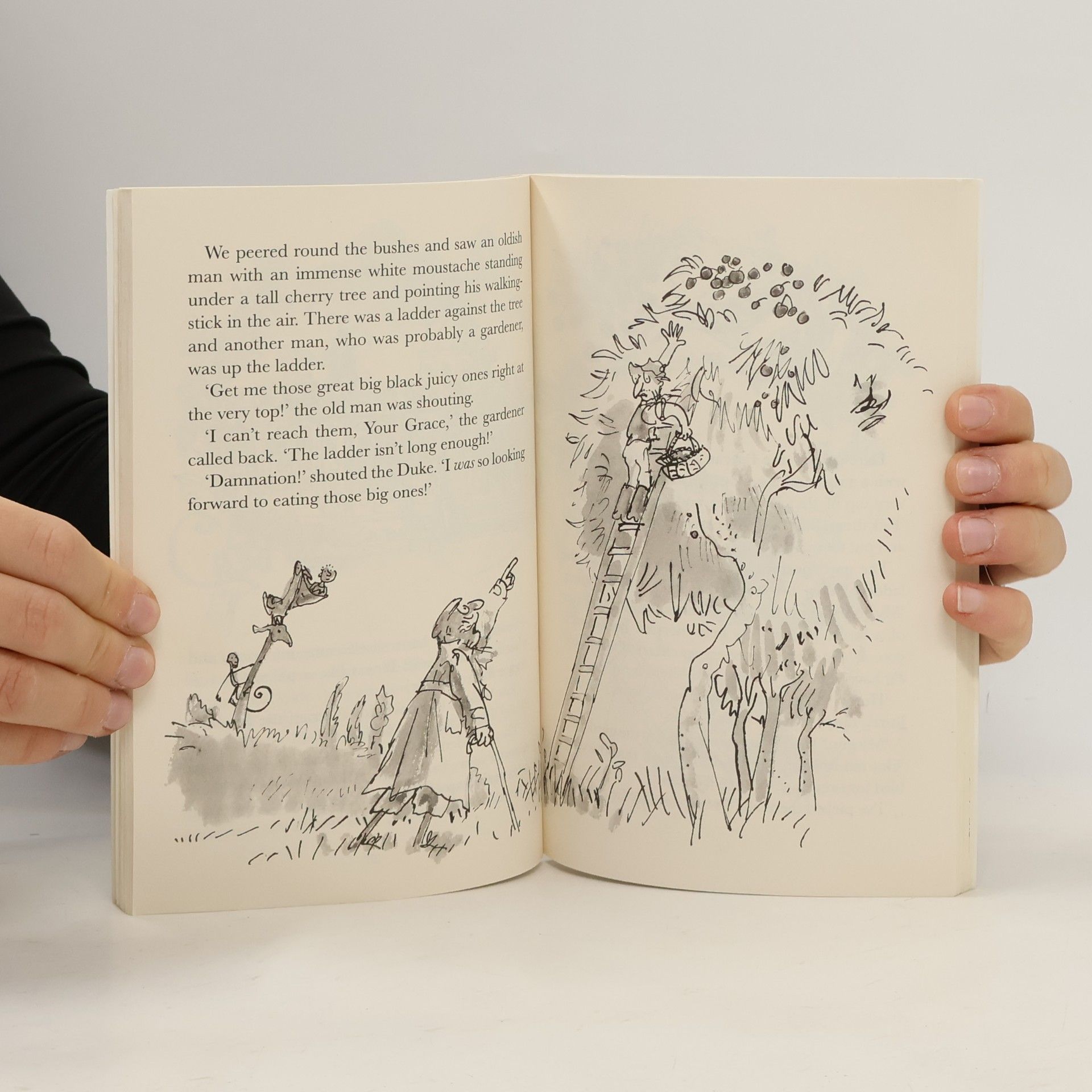 Roald Dahl The Giraffe and the Pelly and Me