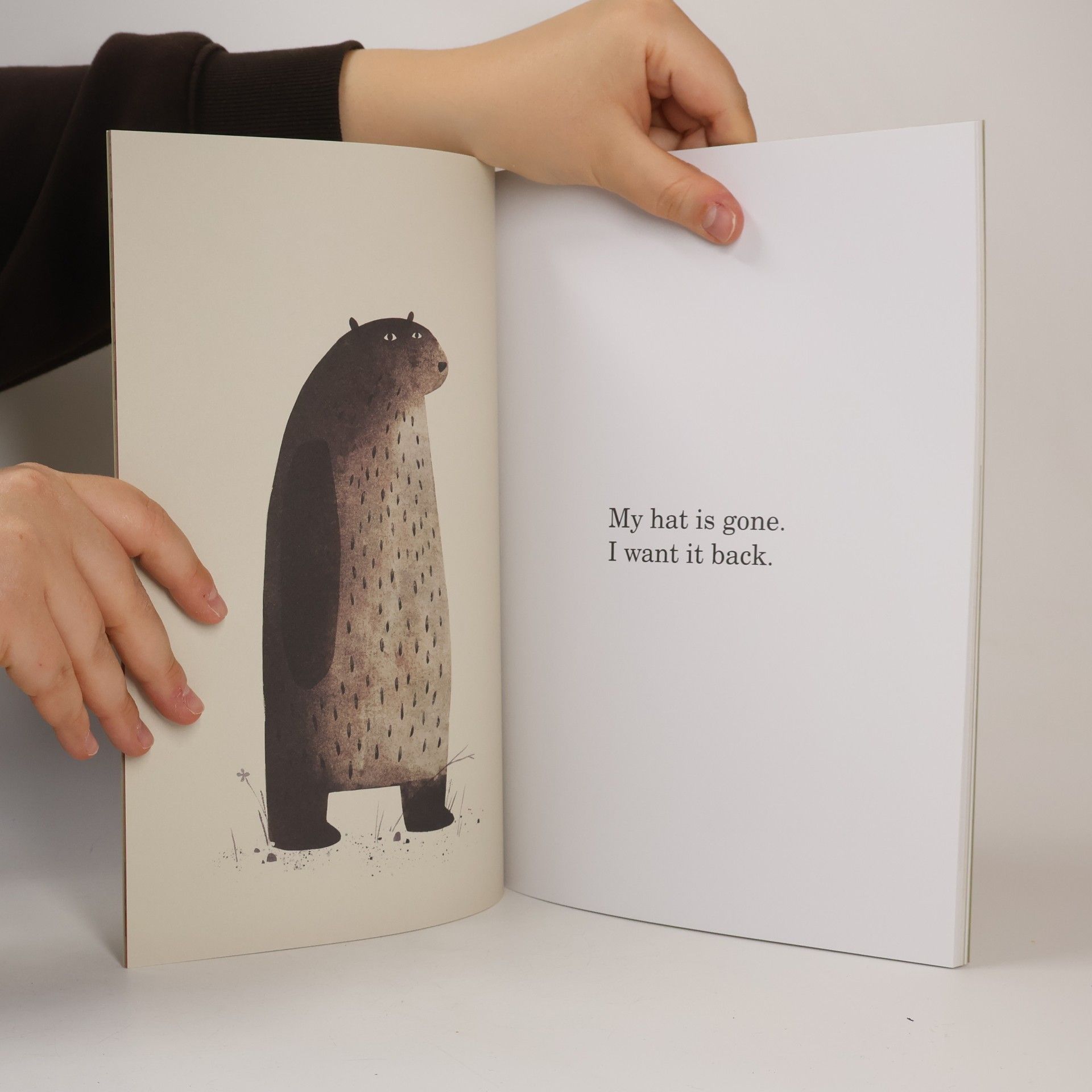 Jon Klassen I want my hat back