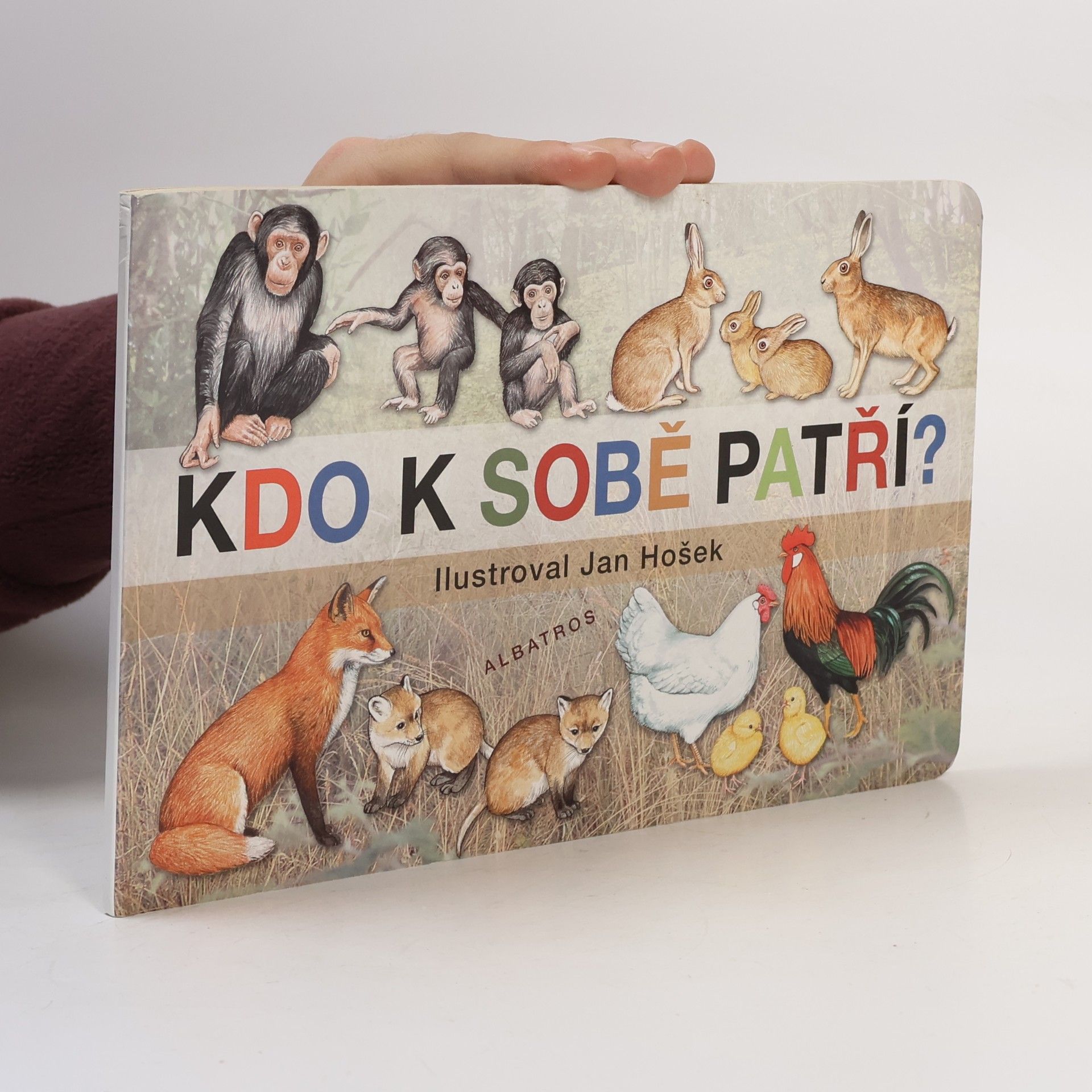 Kdo k sobě patří