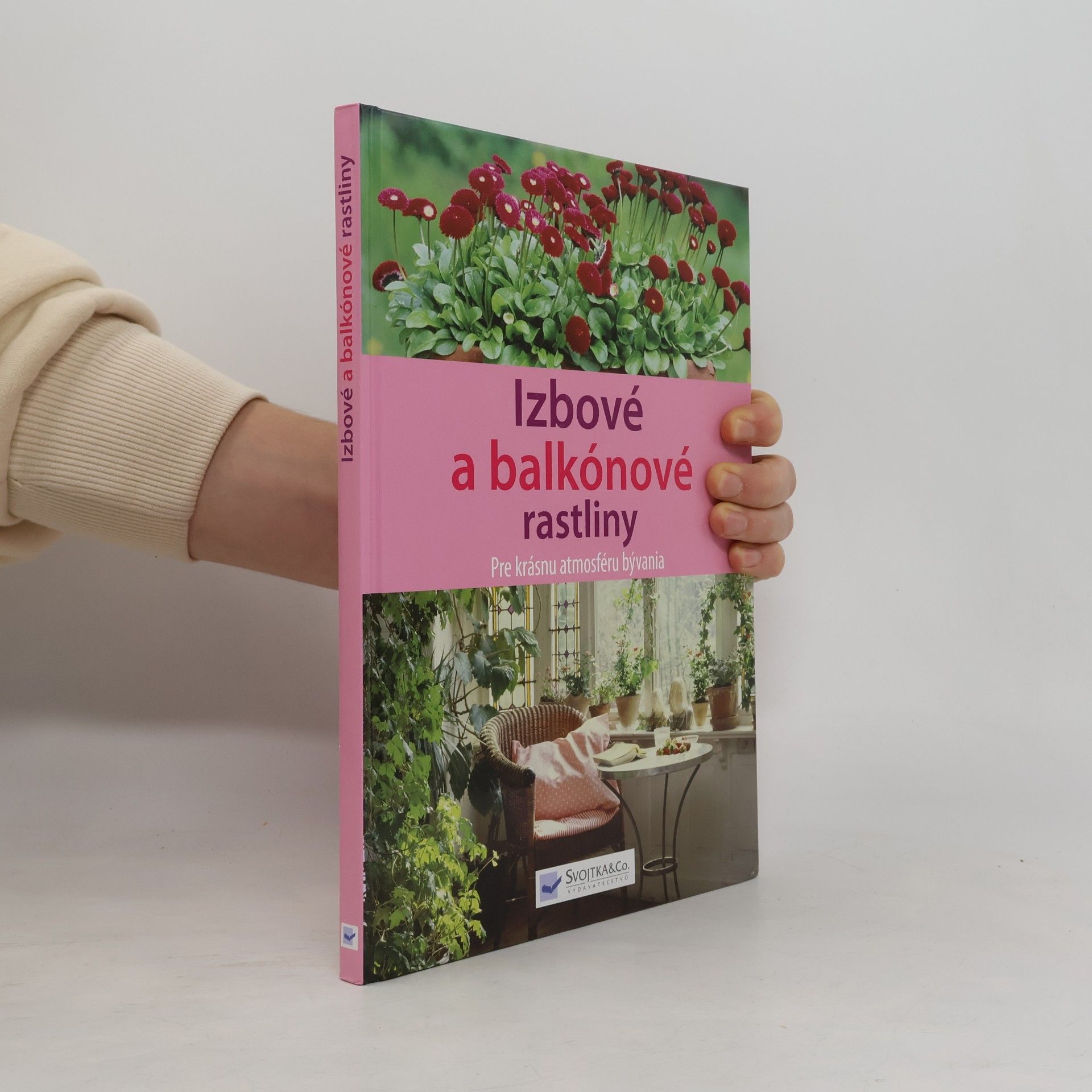 Autorenkollektiv Izbové a balkónové rastliny