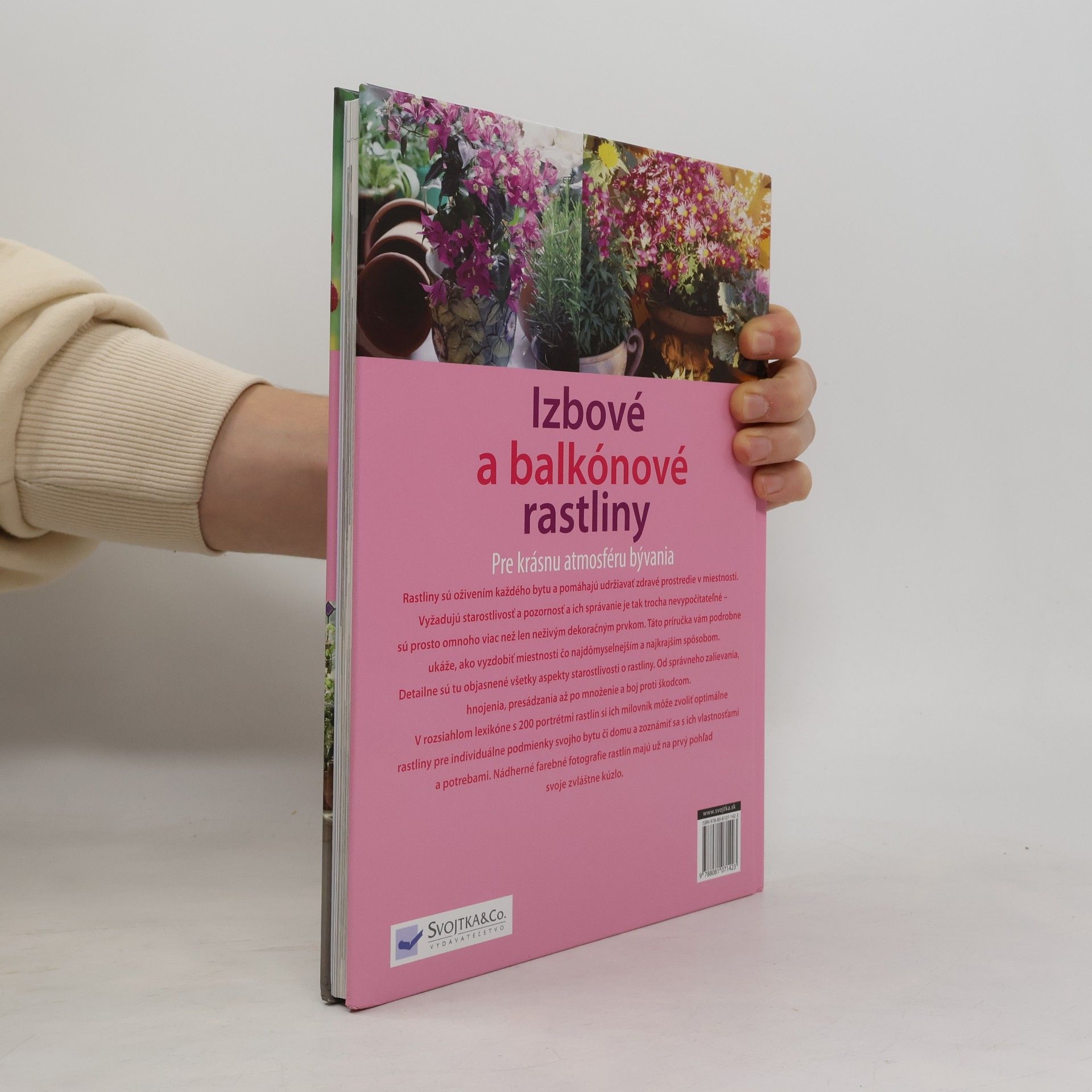 Autorenkollektiv Izbové a balkónové rastliny