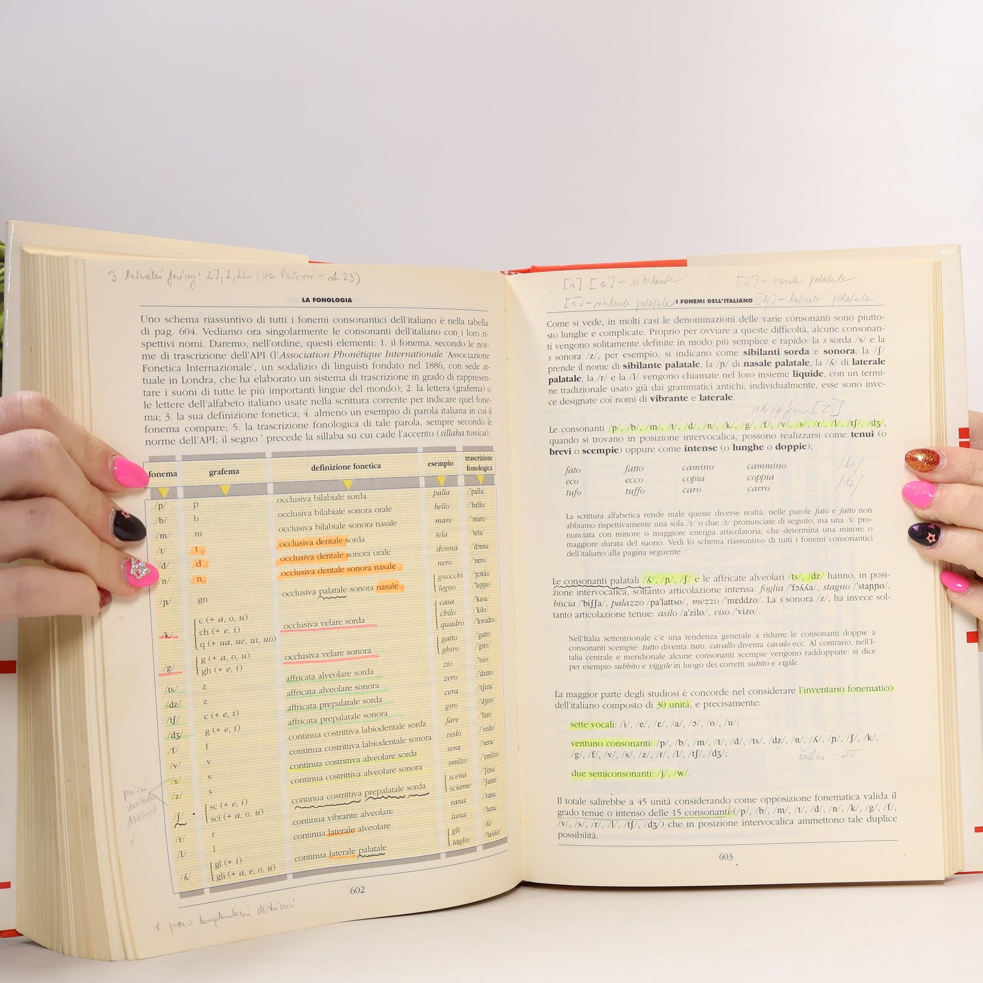 Maurizio Dardano La nuova grammatica della lingua italiana