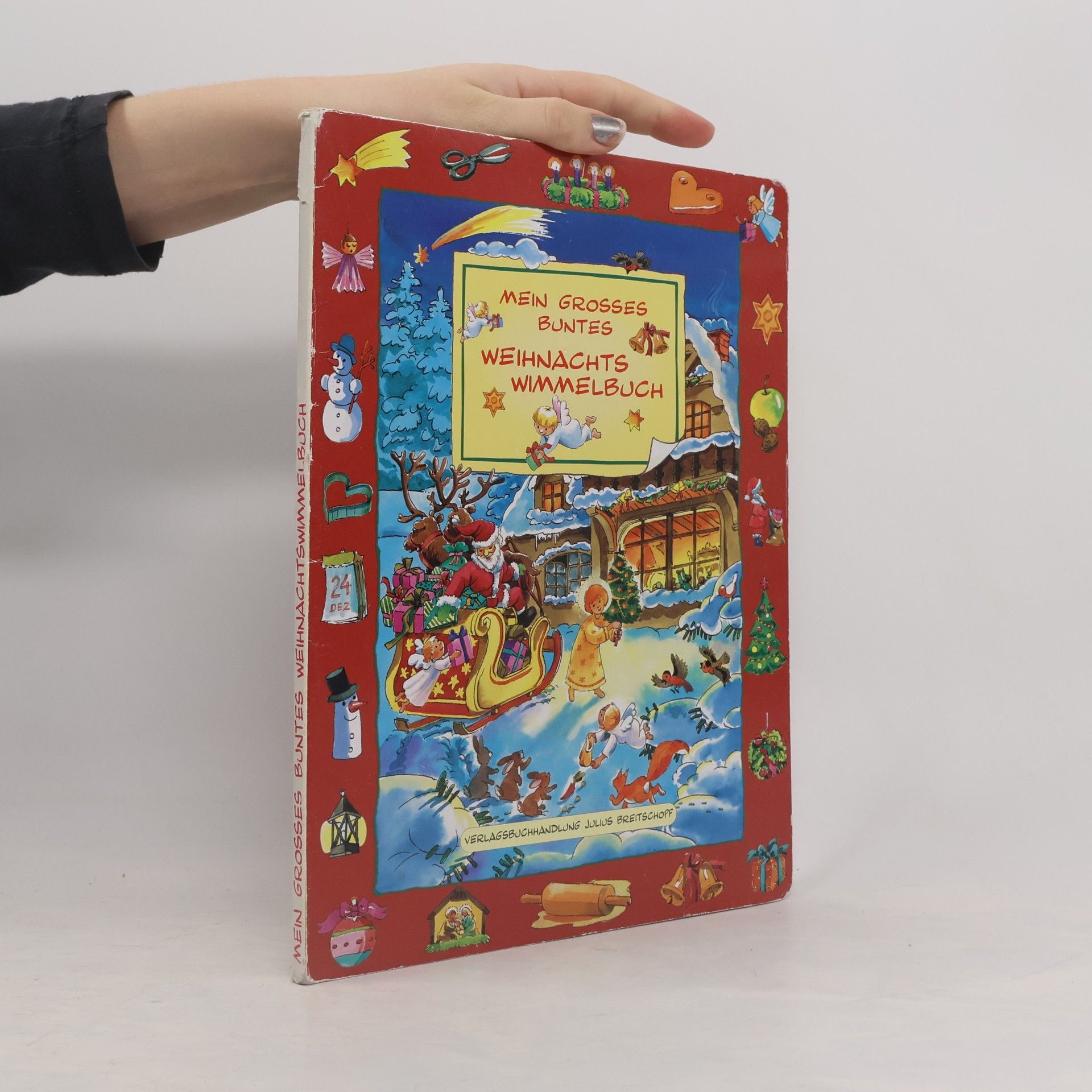 Mein großes buntes Weihnachtswimmelbuch