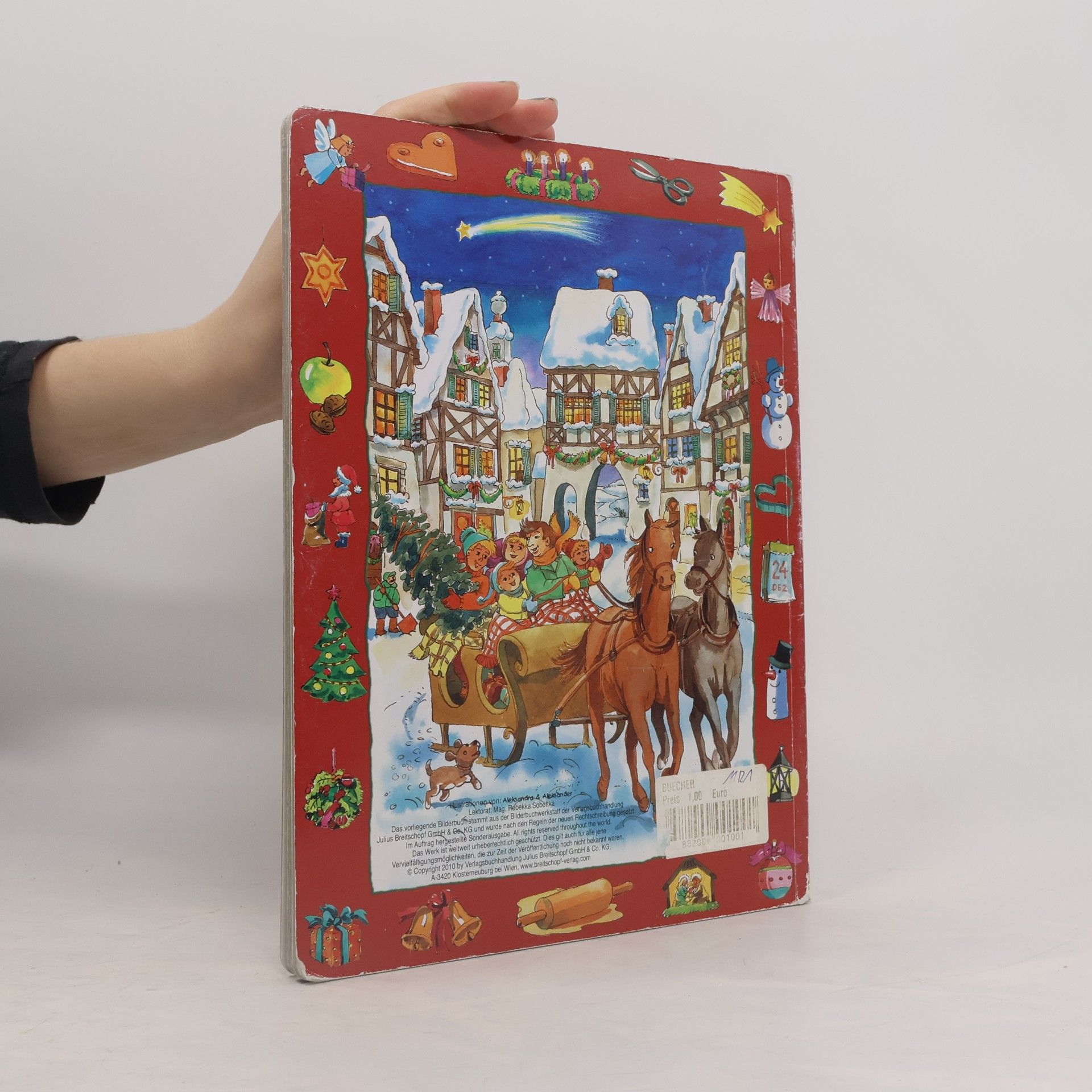 Aleksandra Mein großes buntes Weihnachtswimmelbuch