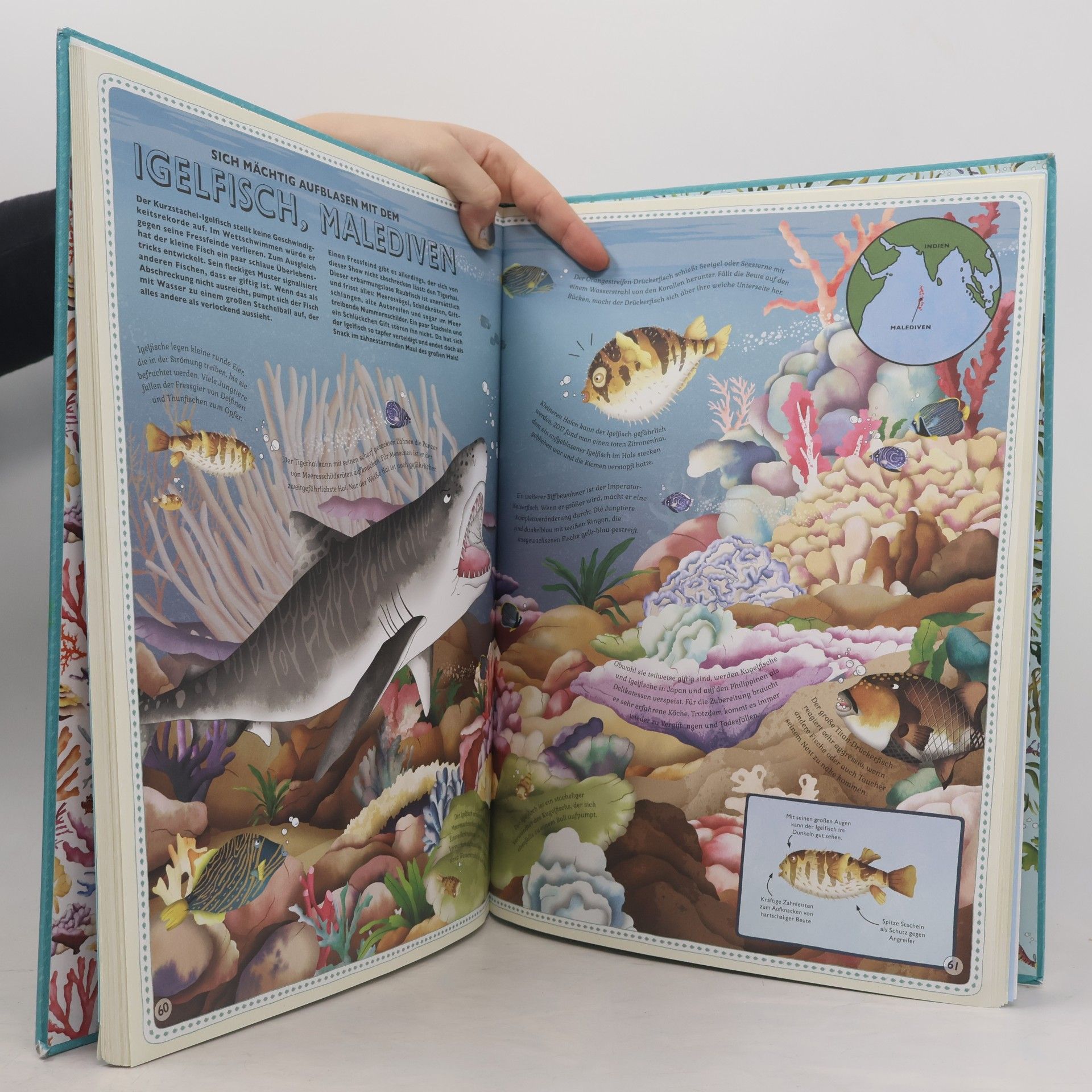 Emily Hawkins Der Atlas der Ozeane