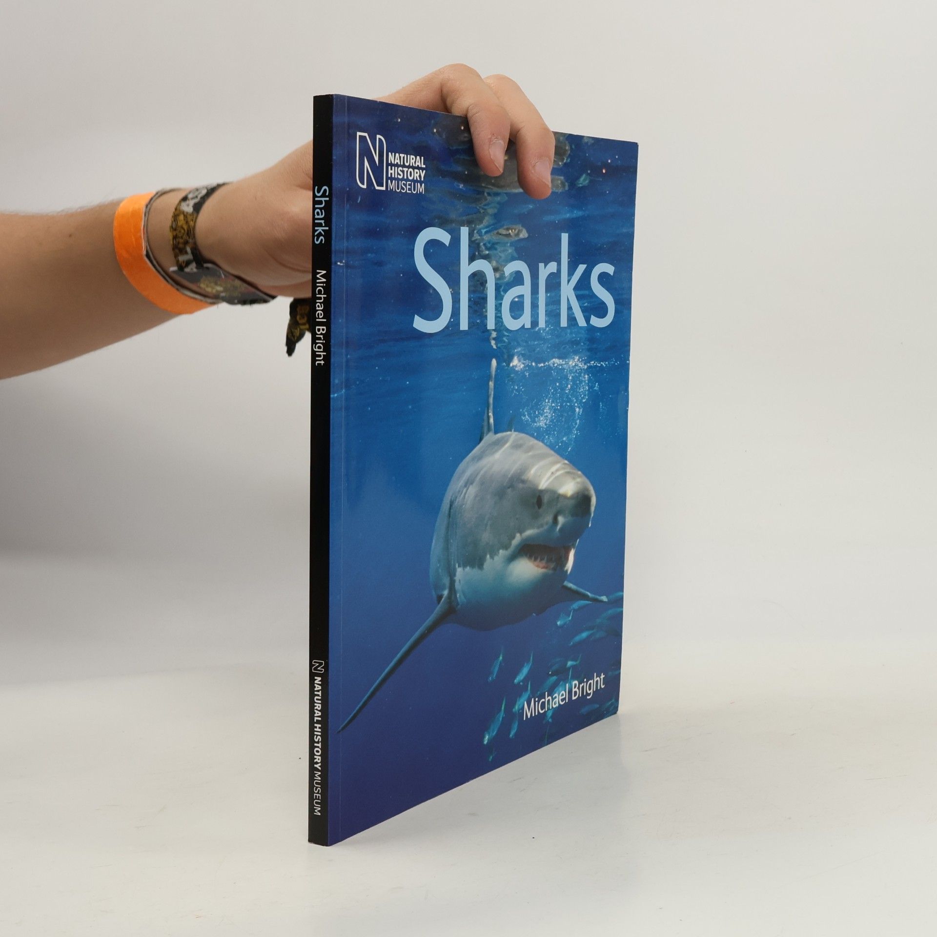Michael Bright Sharks
