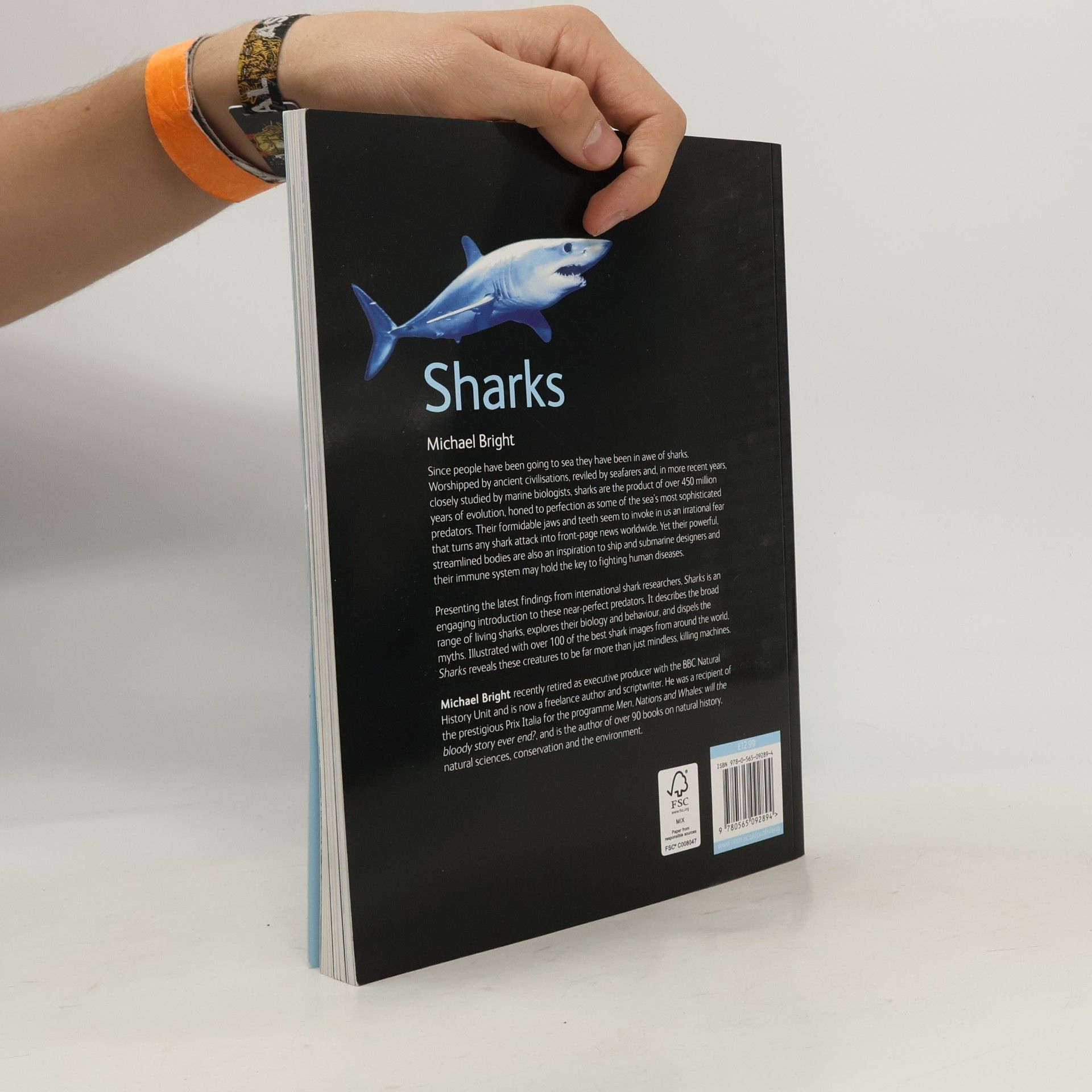 Michael Bright Sharks