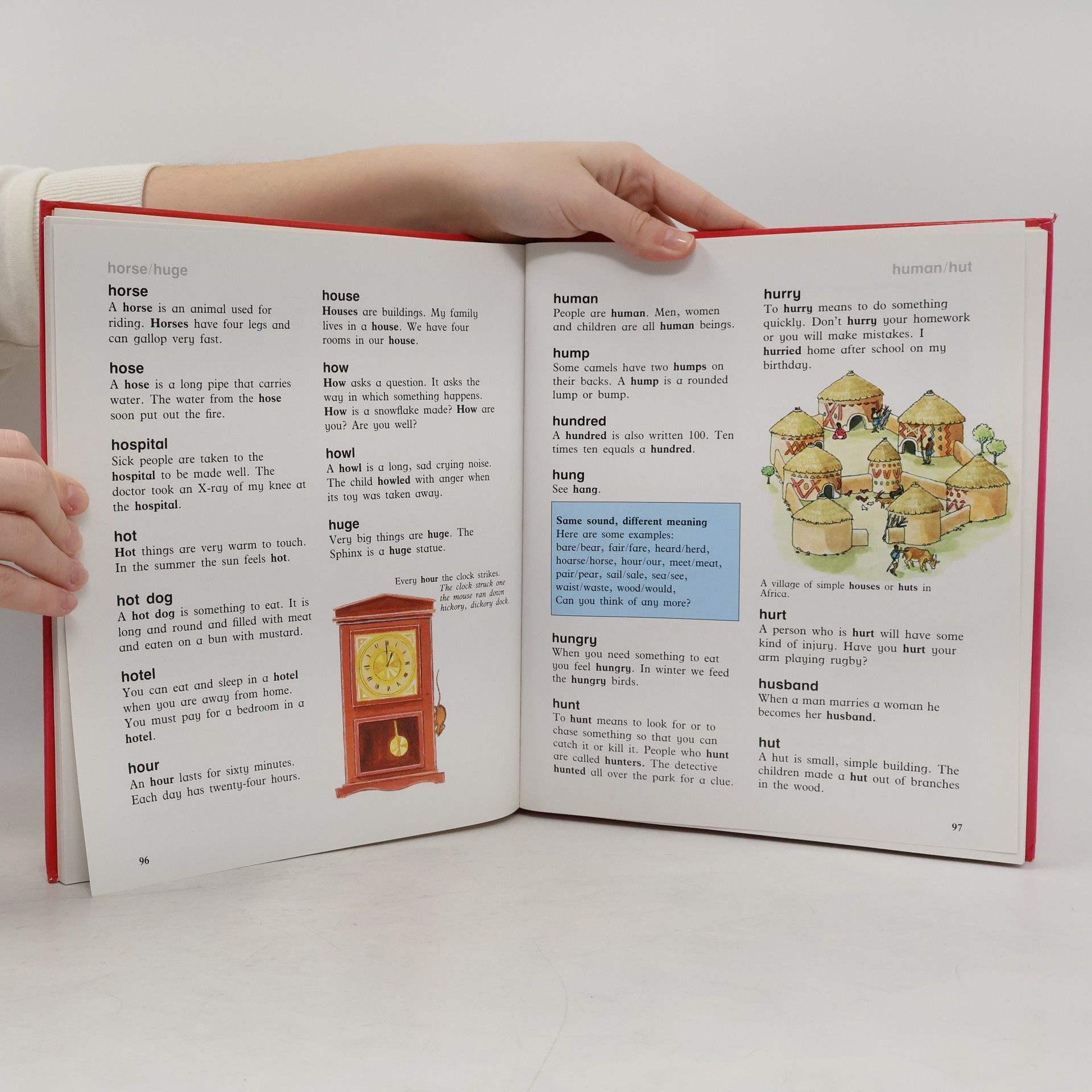 Felicia Law Kingfisher First Pictorial Dictionary
