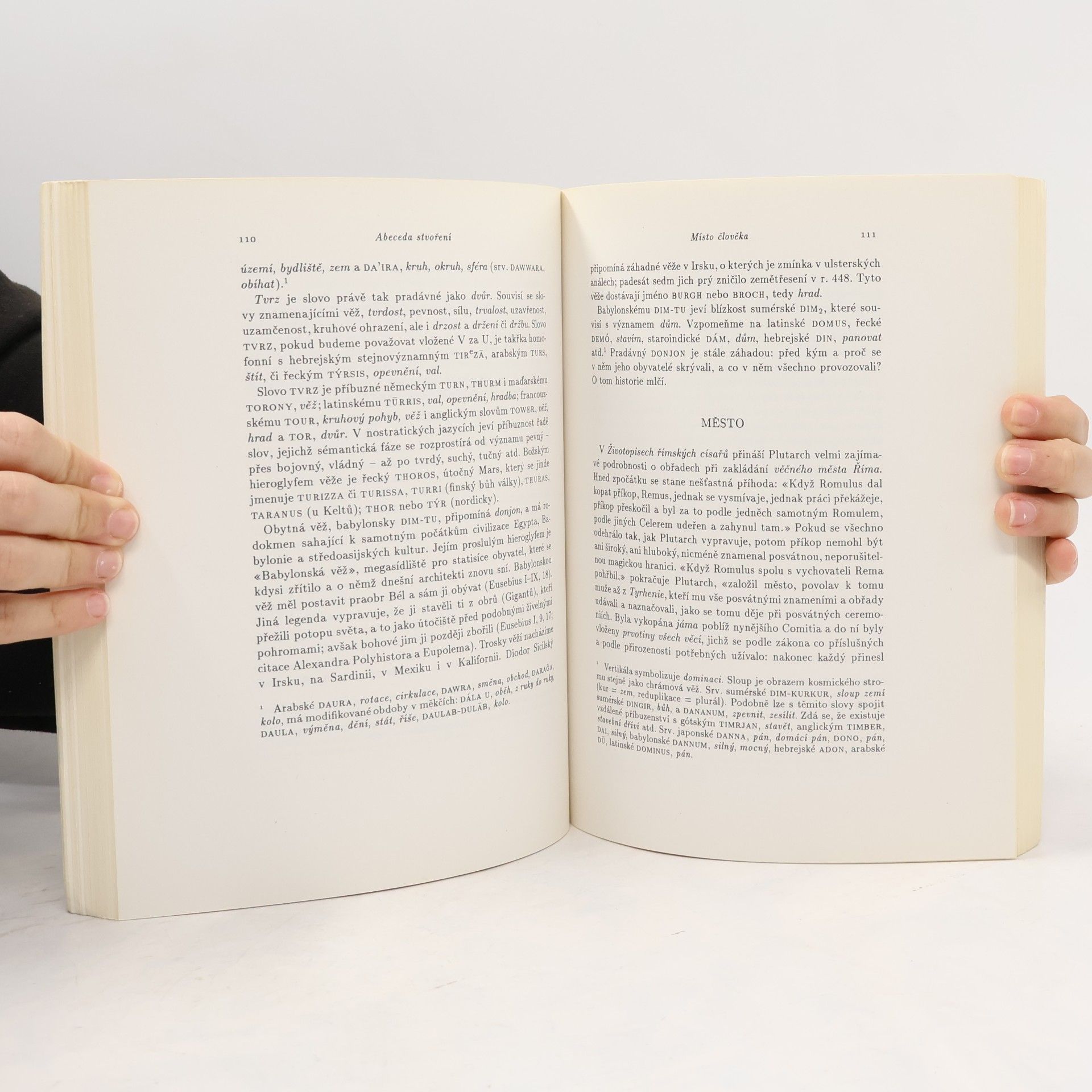 D. Ž. Bor Abeceda stvoření : komorní soubor mýtoetymologických esejů o povstání člověka, jazyků, náboženství, kultury a civilizace