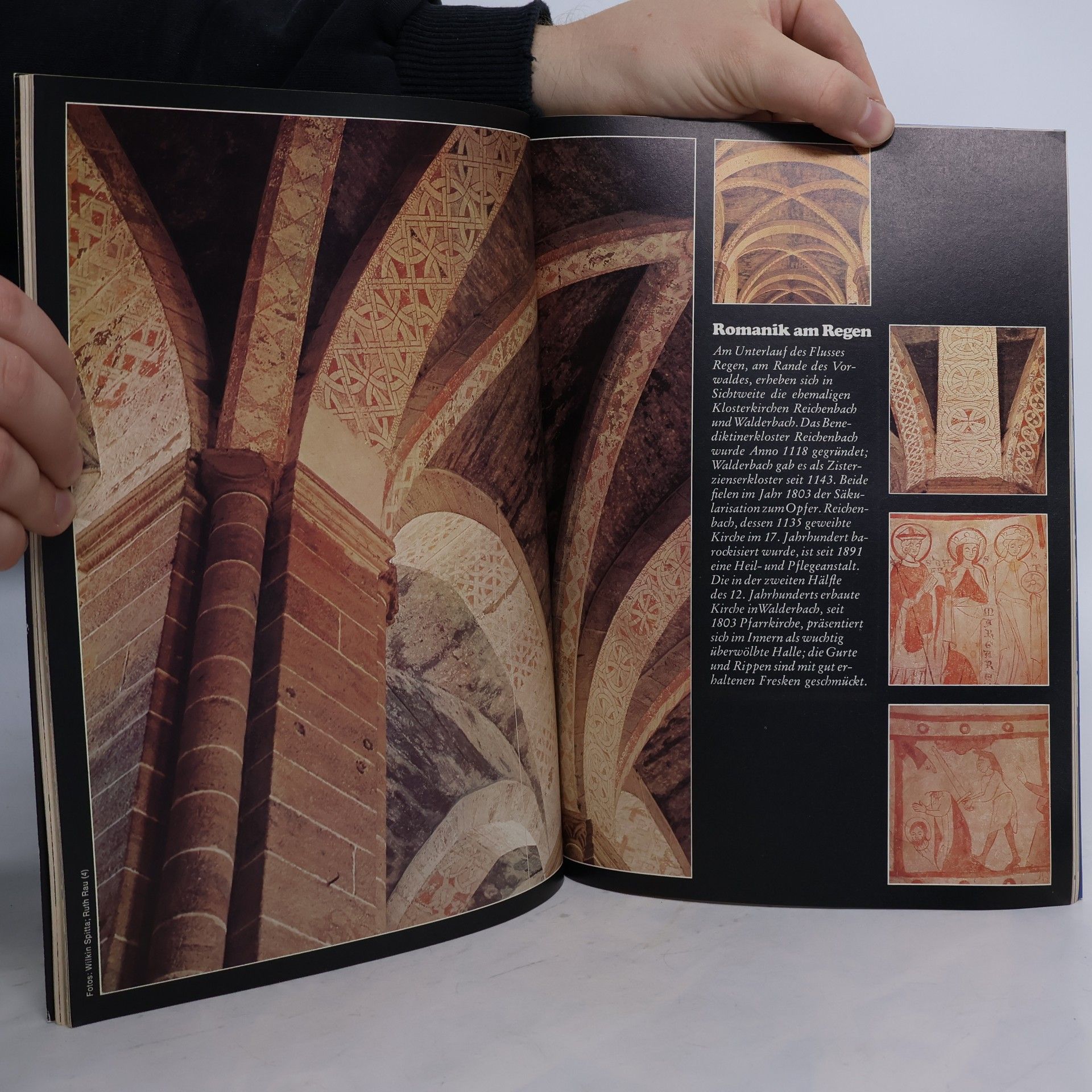 Autores varios Merian. Bayerischer Wald