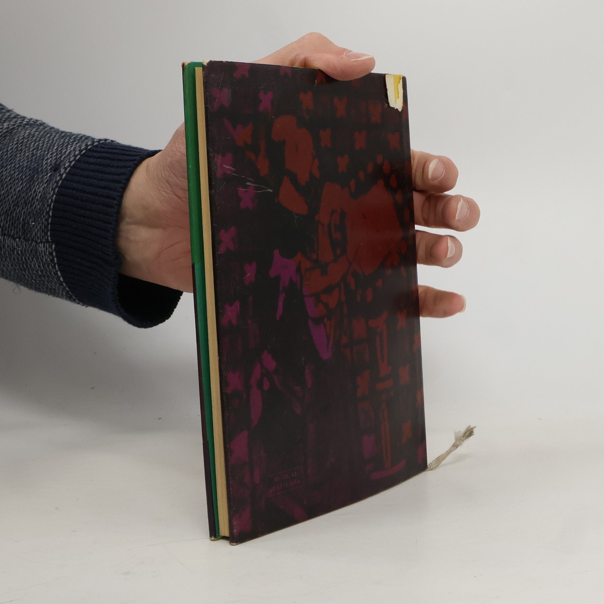 Collectif d'auteurs Já bratr Oldřich. Čech z Furlánska