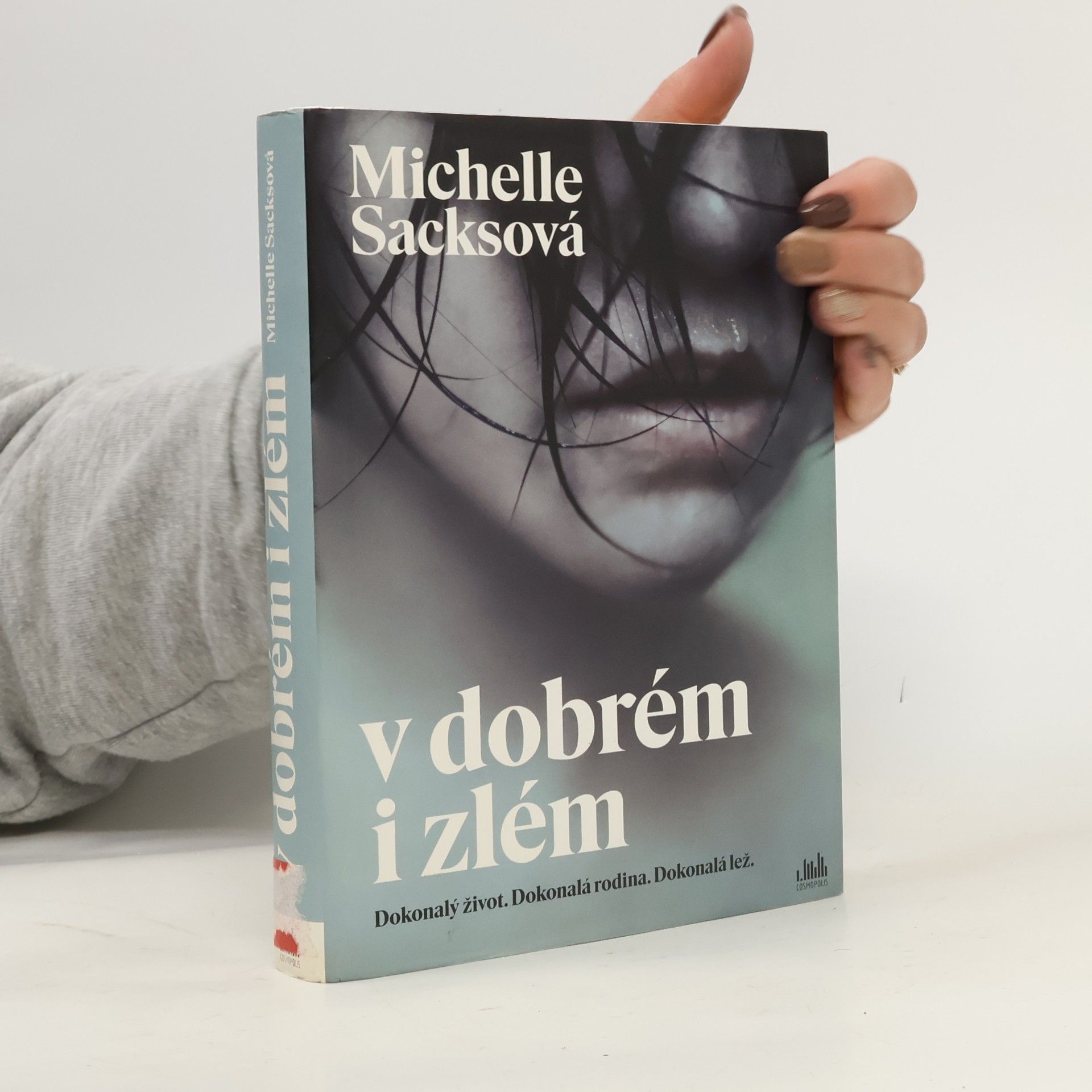 Michelle Sacks V dobrém i zlém