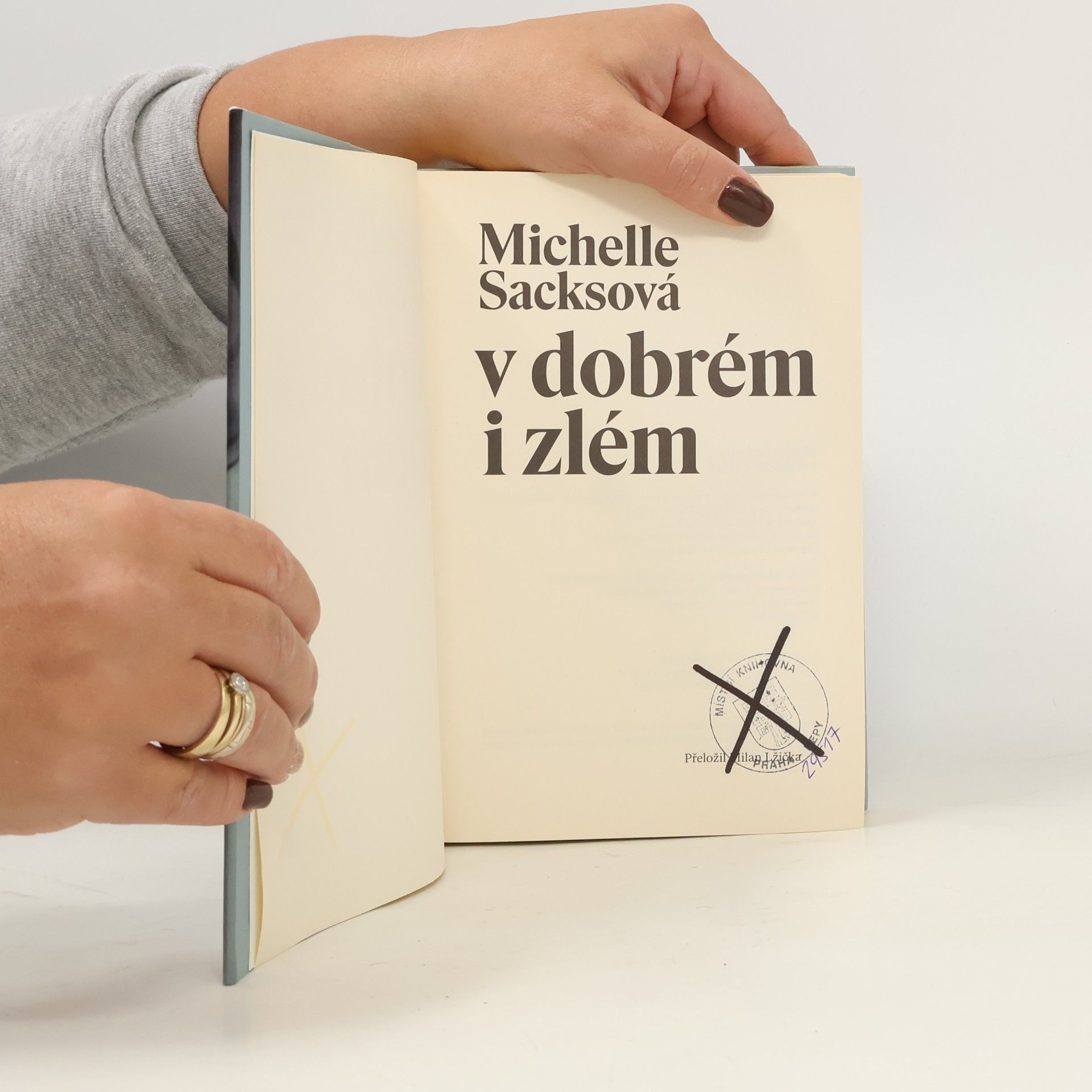 Michelle Sacks V dobrém i zlém