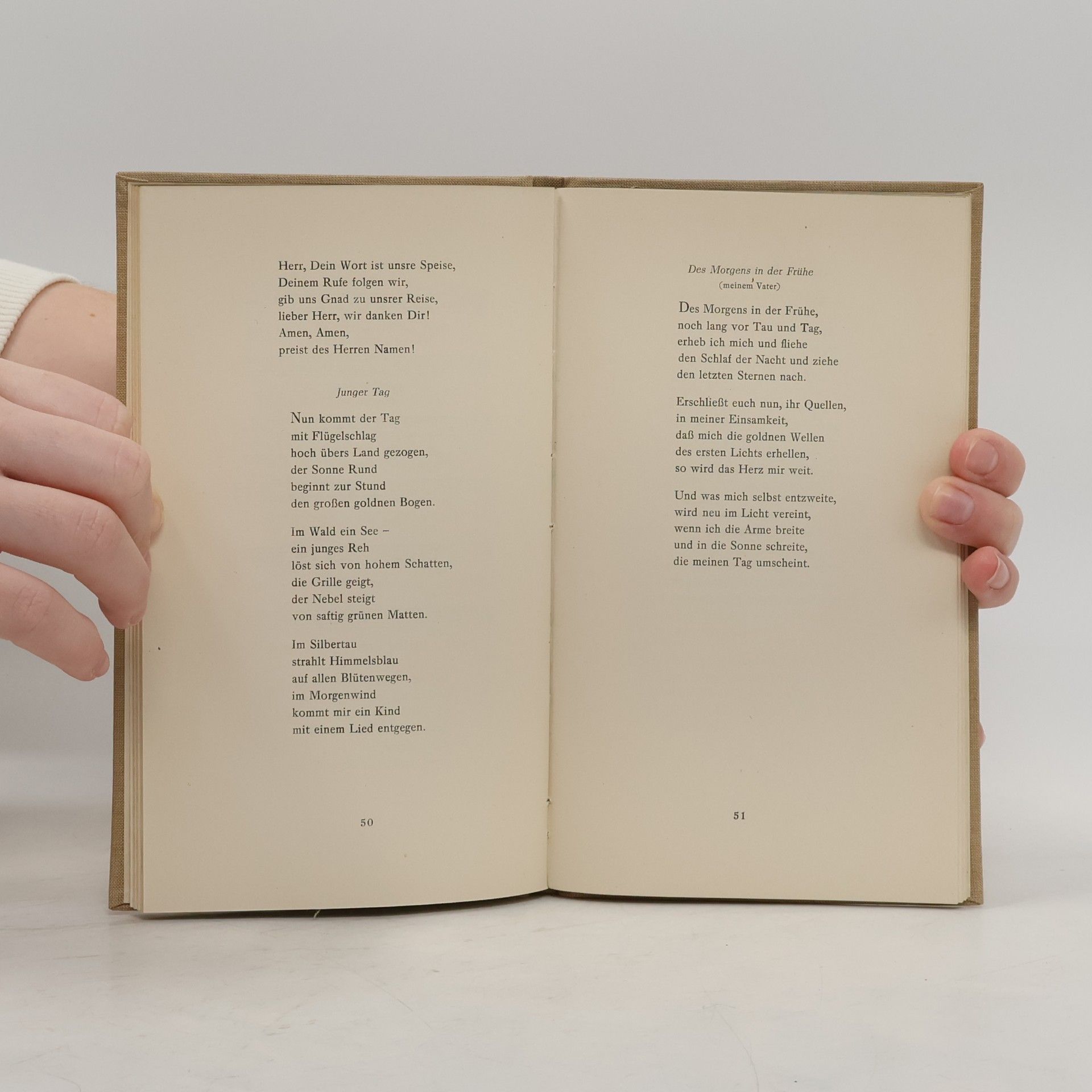 Albert Bartsch Sonne und Segen